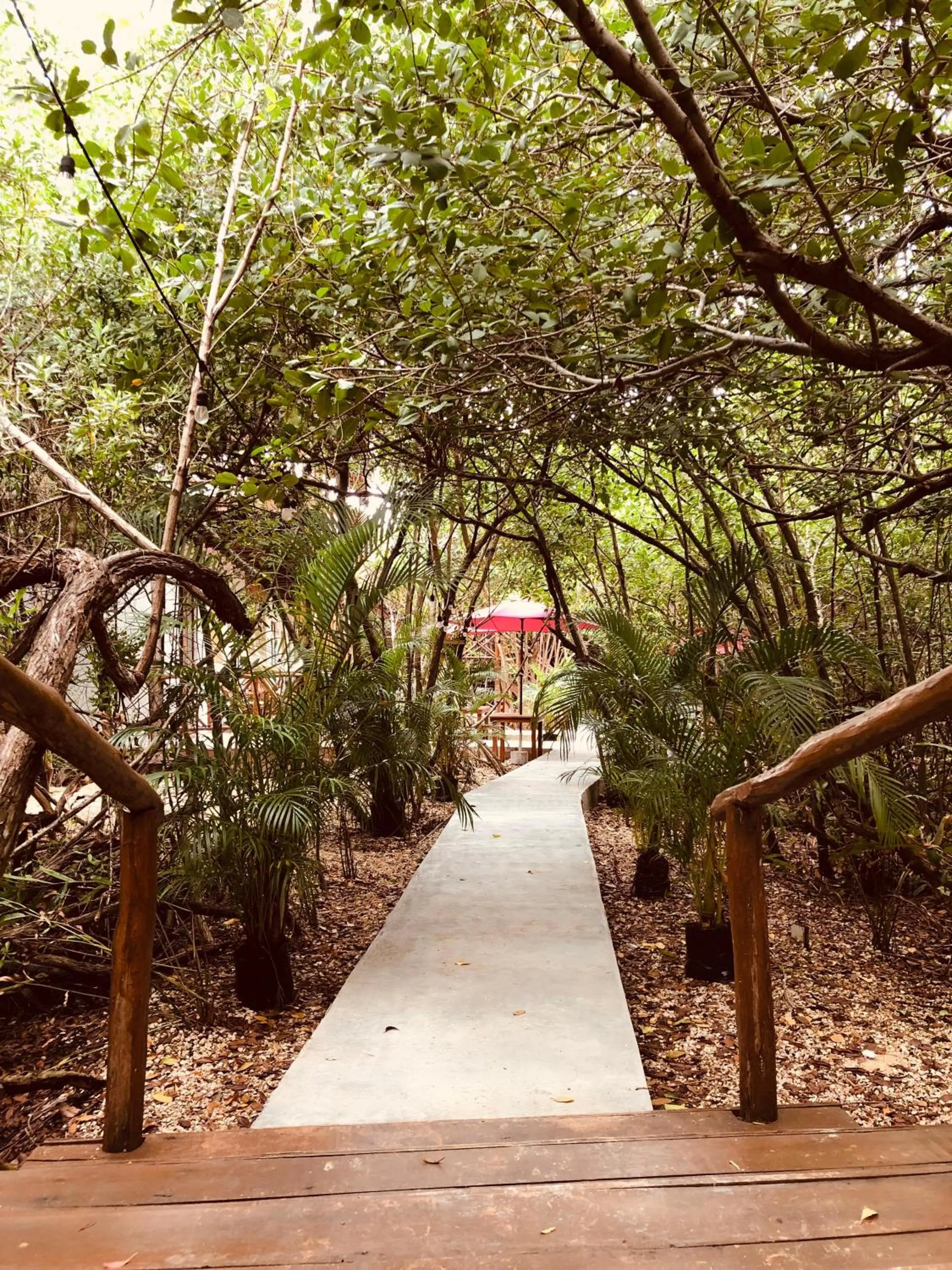 Facade/entrance in Cabañas Tulum - Aldea Mangle & Cenote