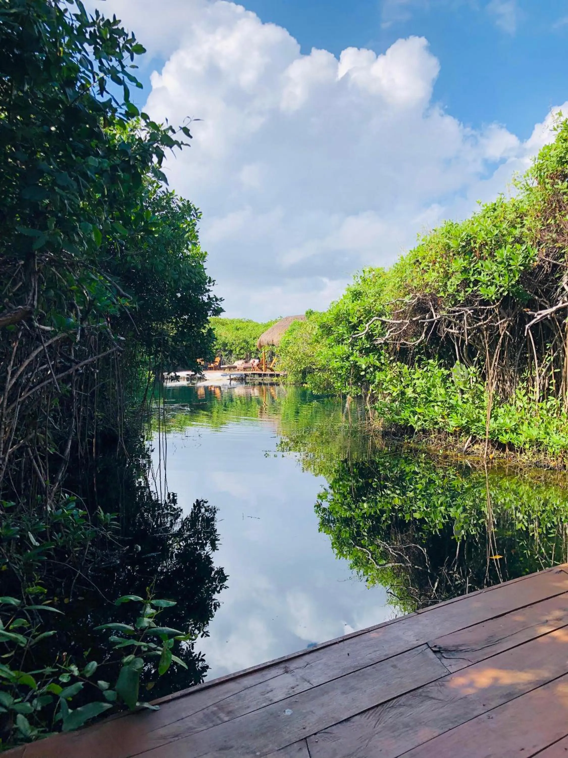 Cabañas Tulum - Aldea Mangle & Cenote