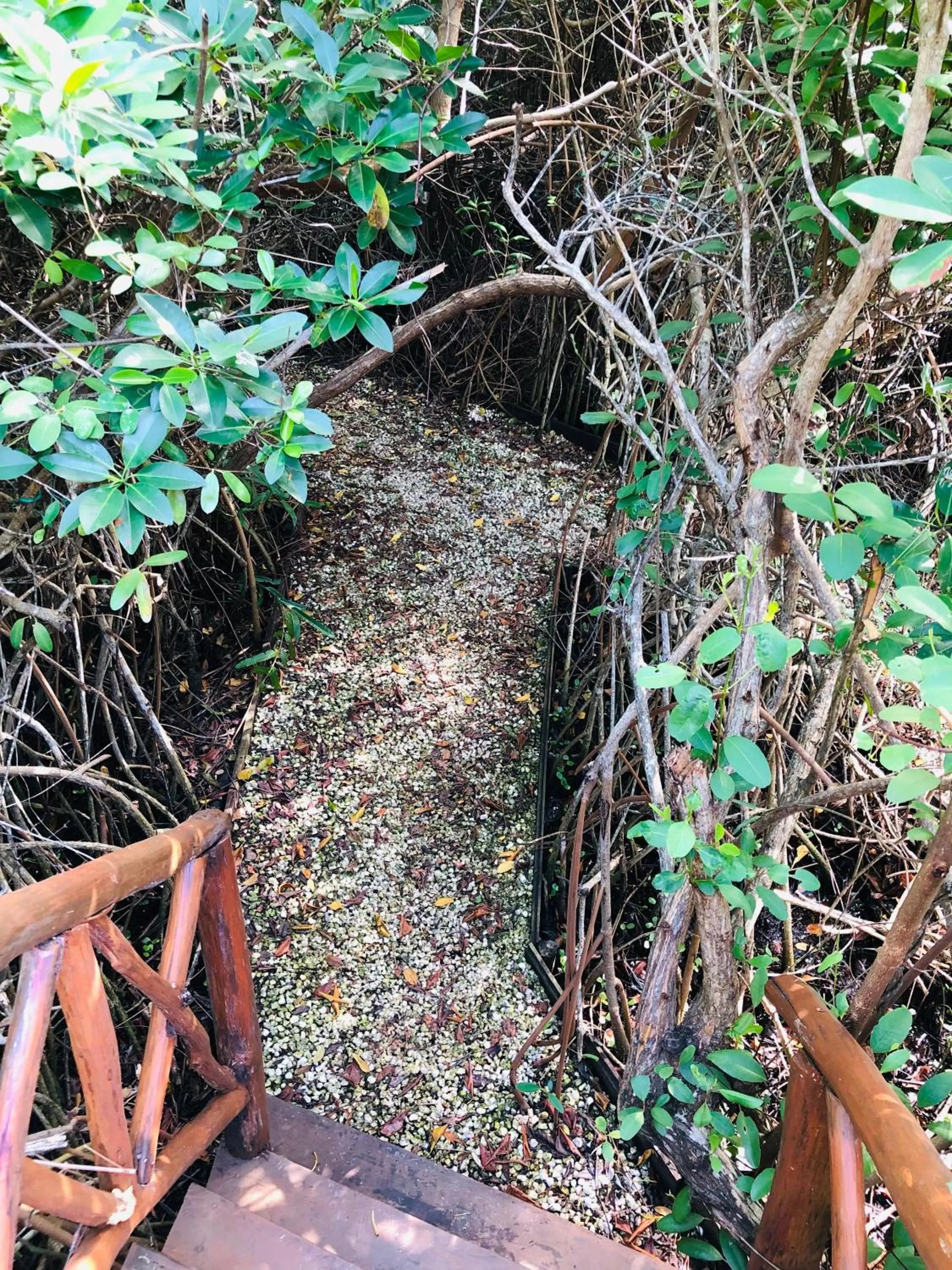 Cabañas Tulum - Aldea Mangle & Cenote