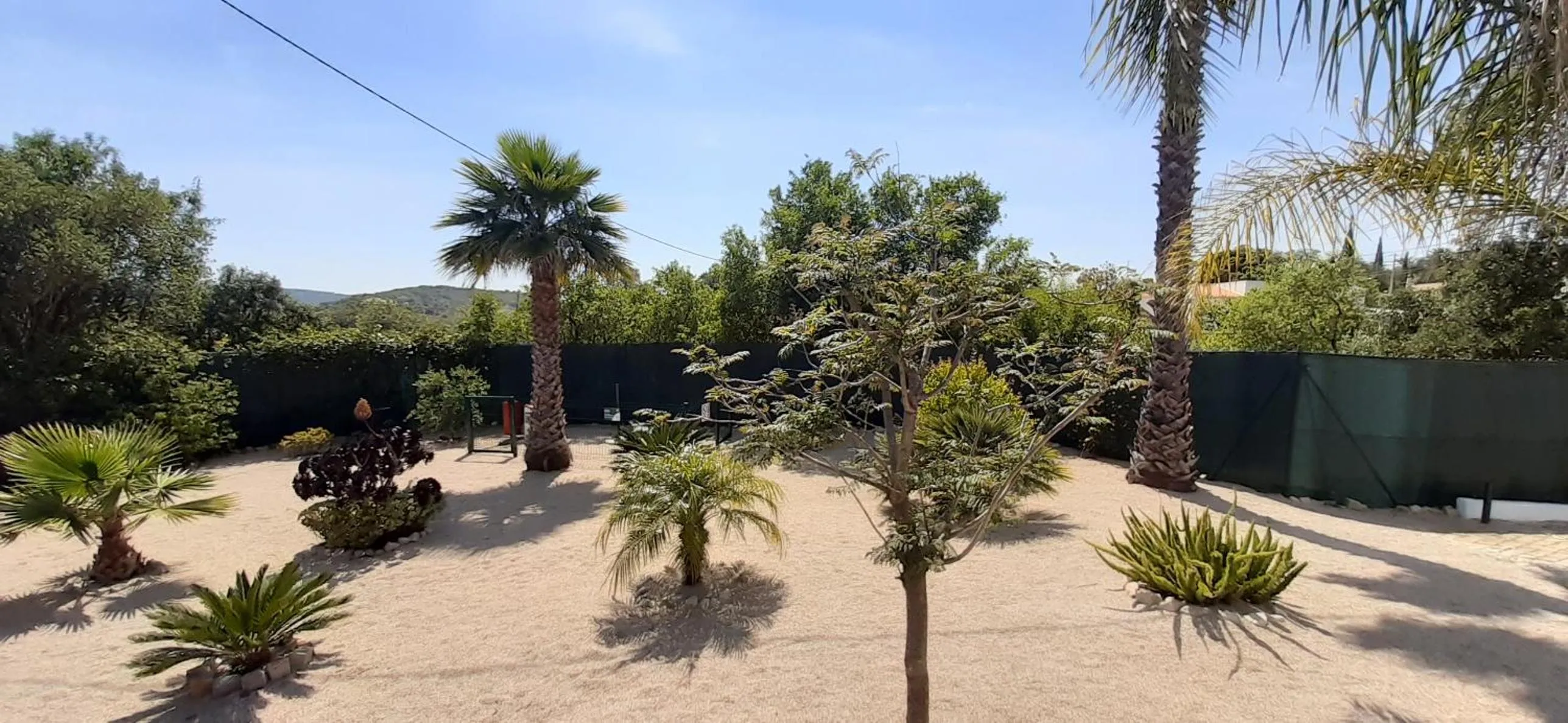 Garden in ApraHouseLoule Guesthouse