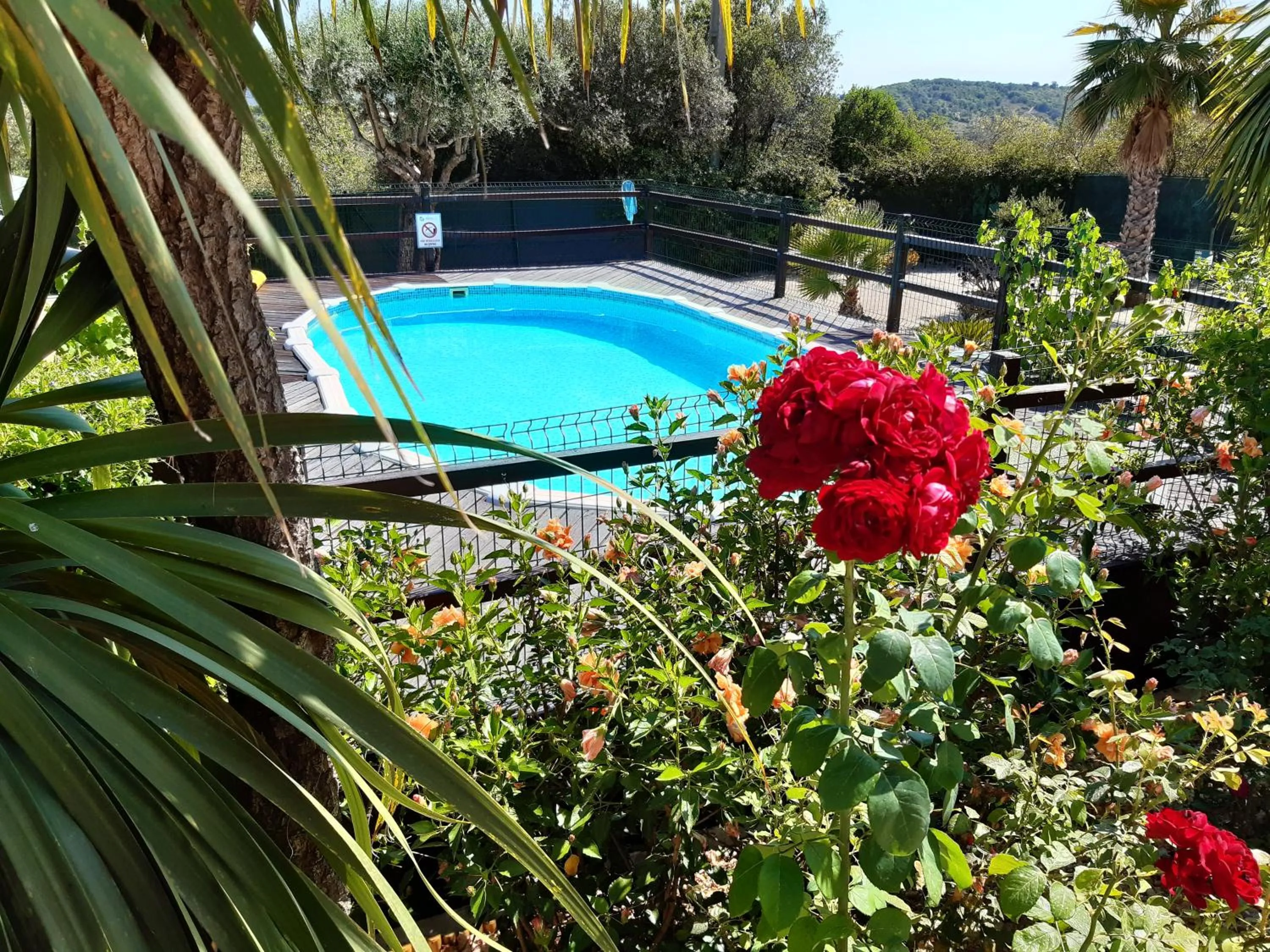 Pool view in ApraHouseLoule Guesthouse