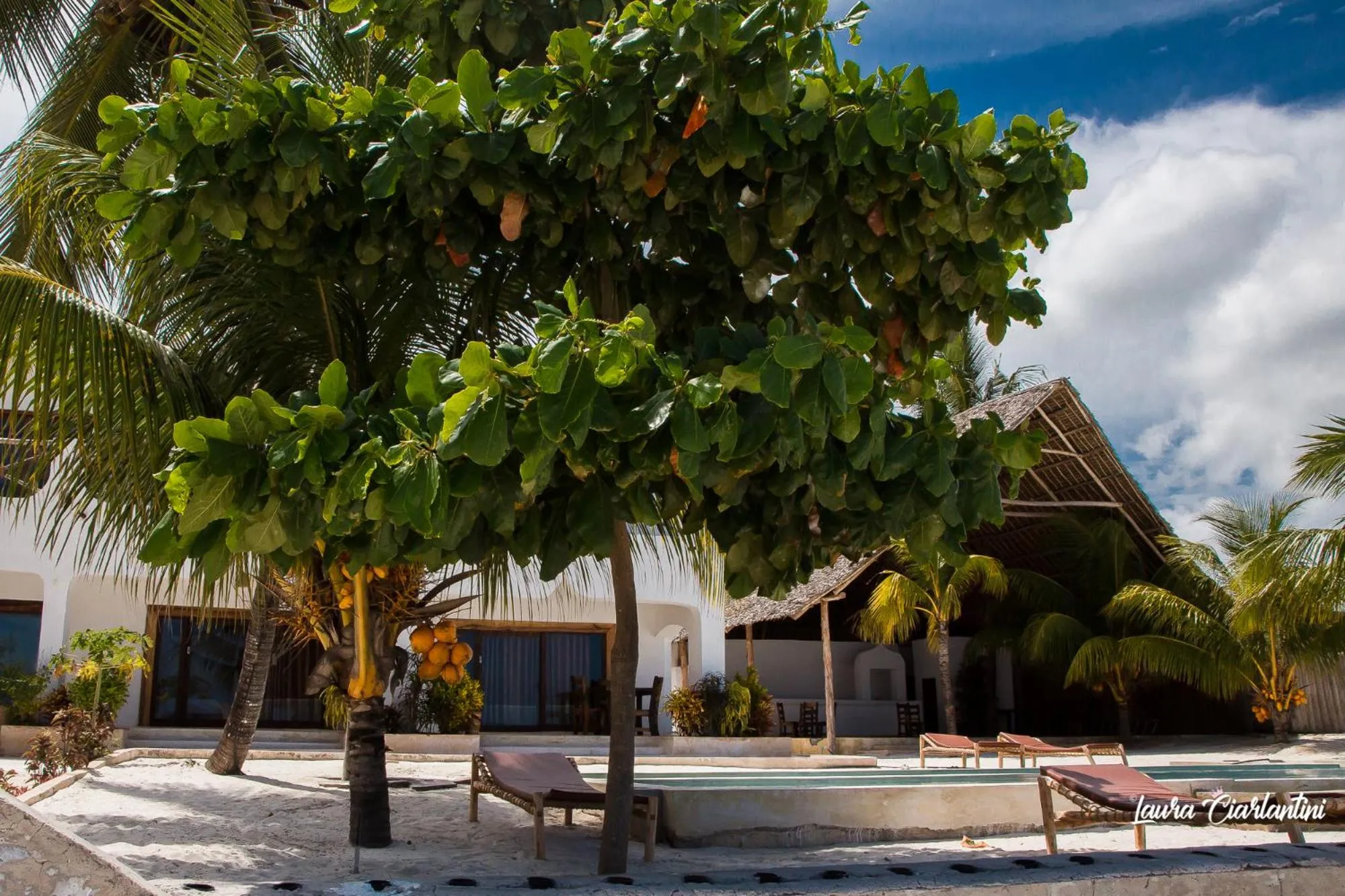 Property building in Uroa Zanzibar Vera Beach Hotel by Moonshine