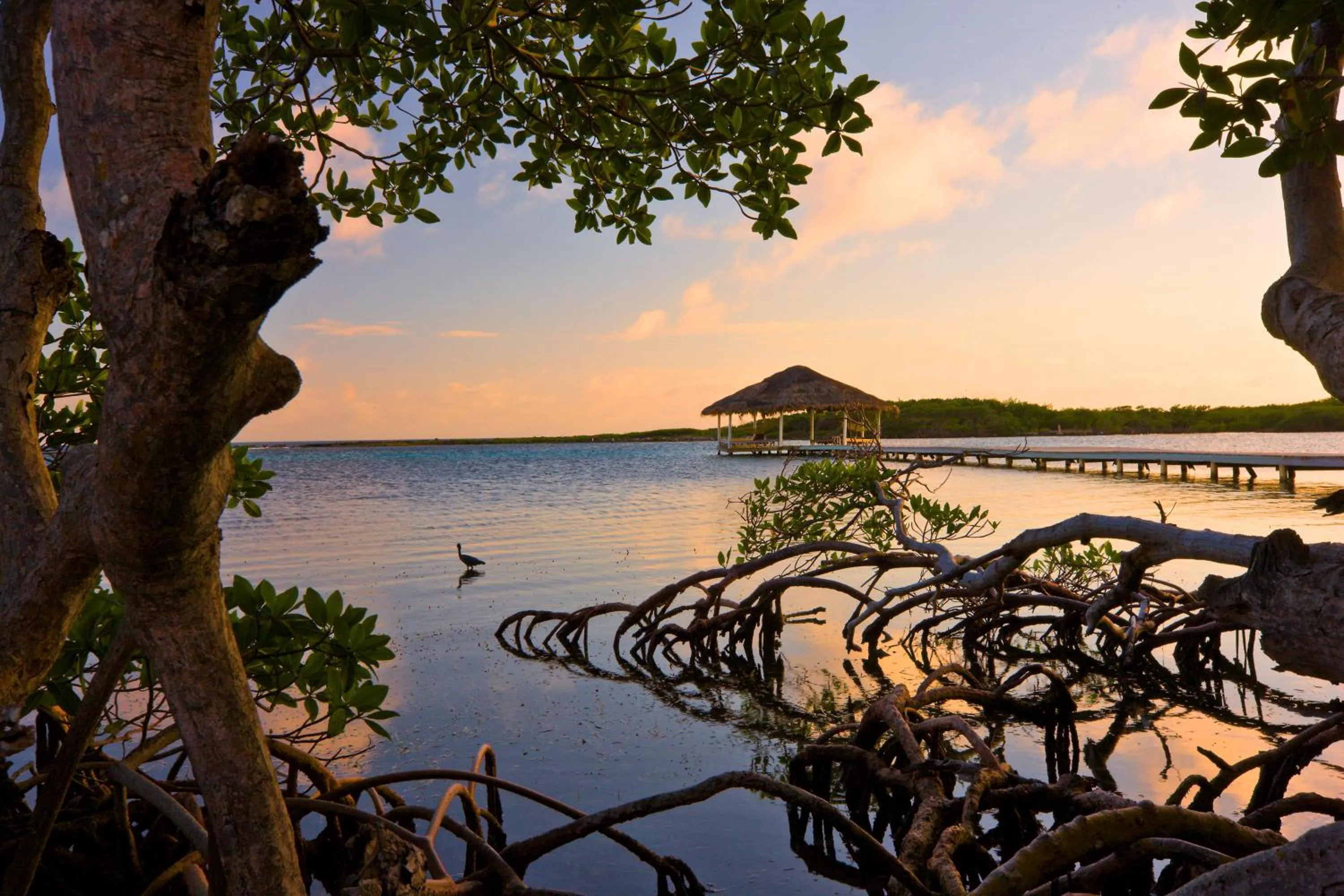 Natural landscape in Barefoot Cay Resort