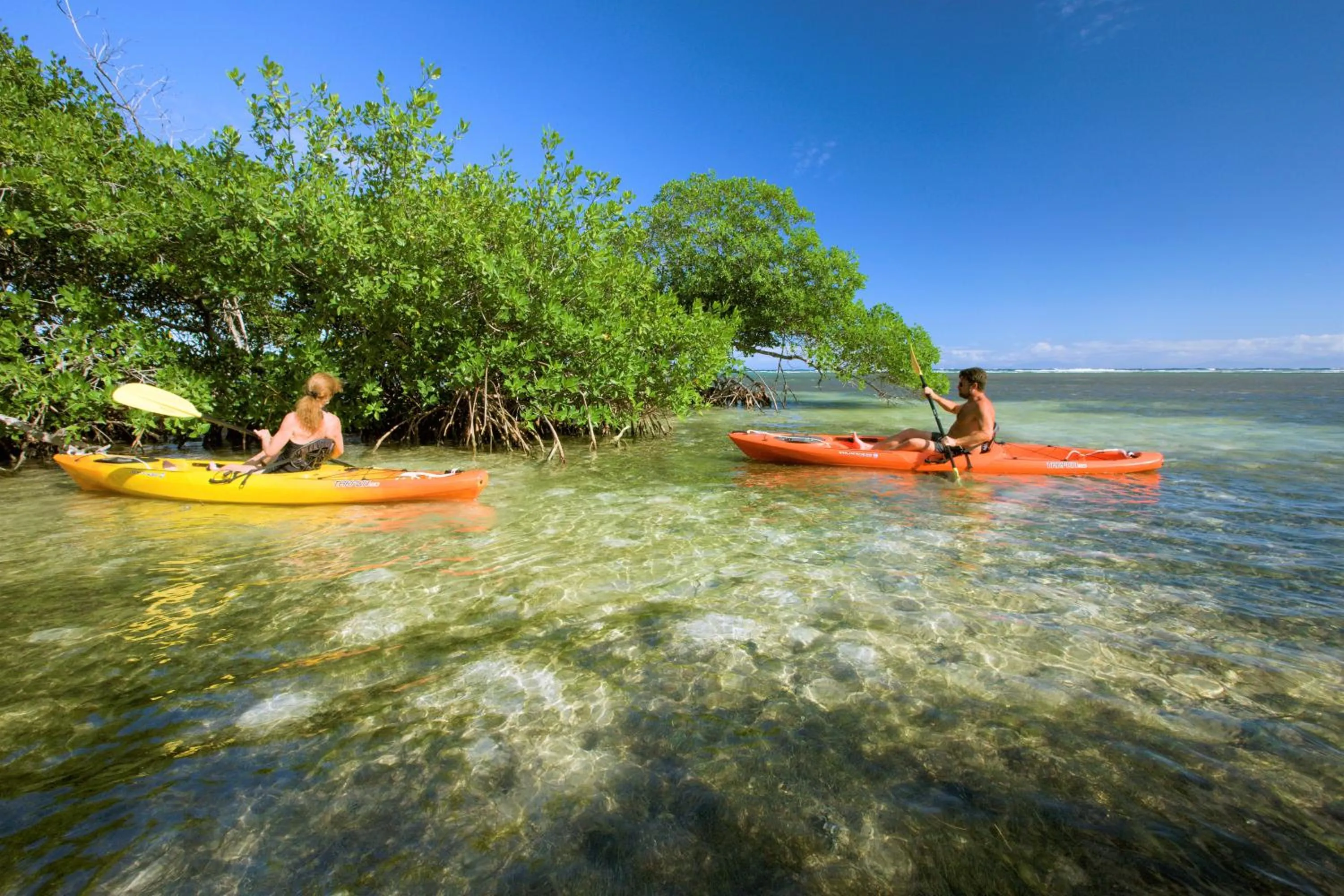 Natural landscape in Barefoot Cay Resort