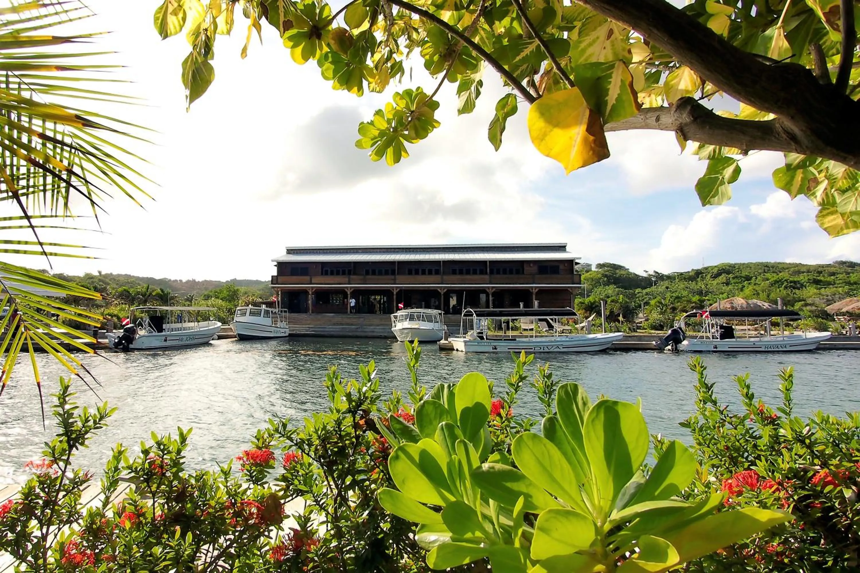 Facade/entrance in Barefoot Cay Resort