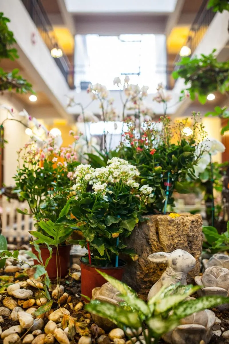 Euanjitt Chill House