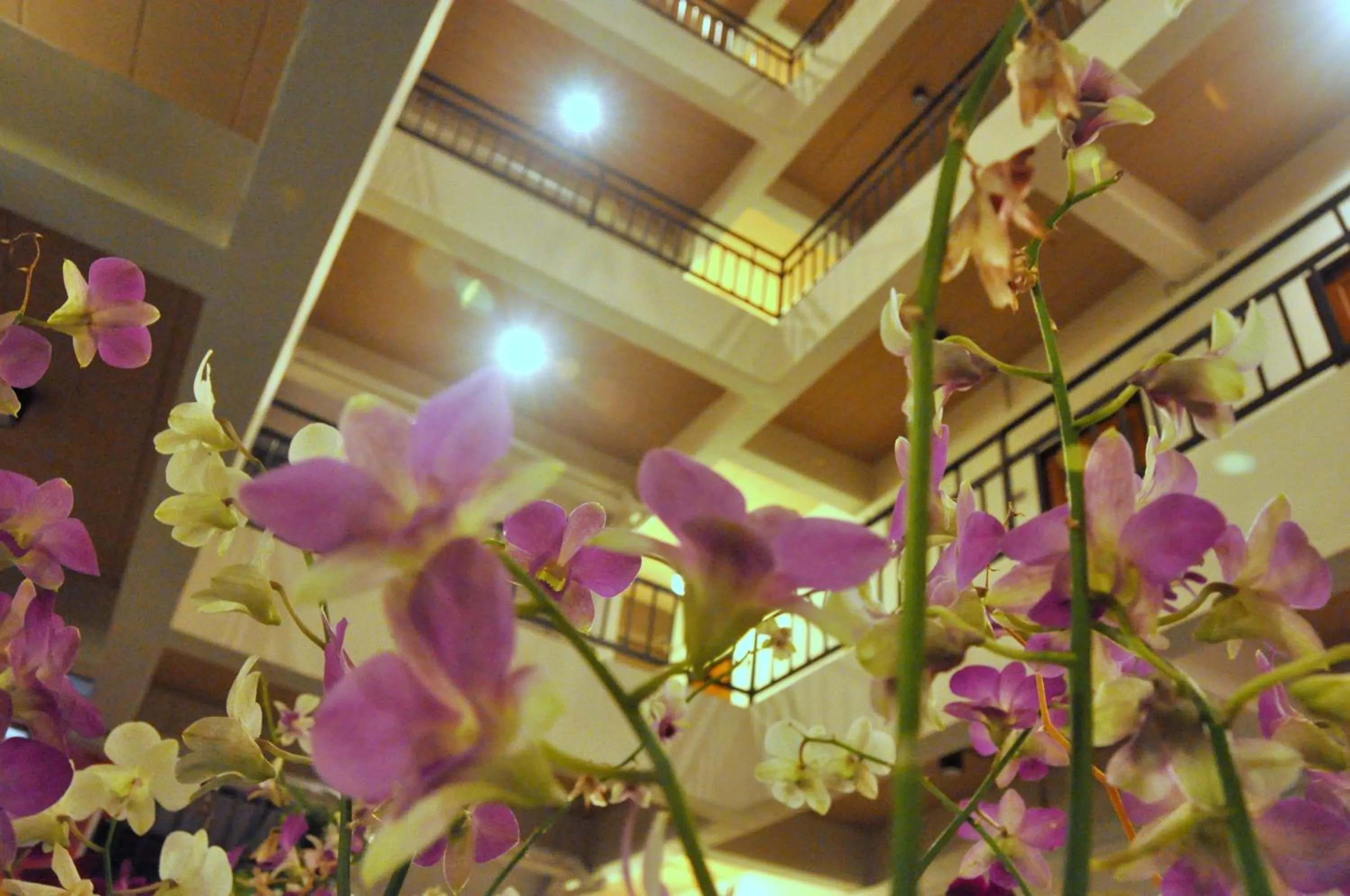 Euanjitt Chill House