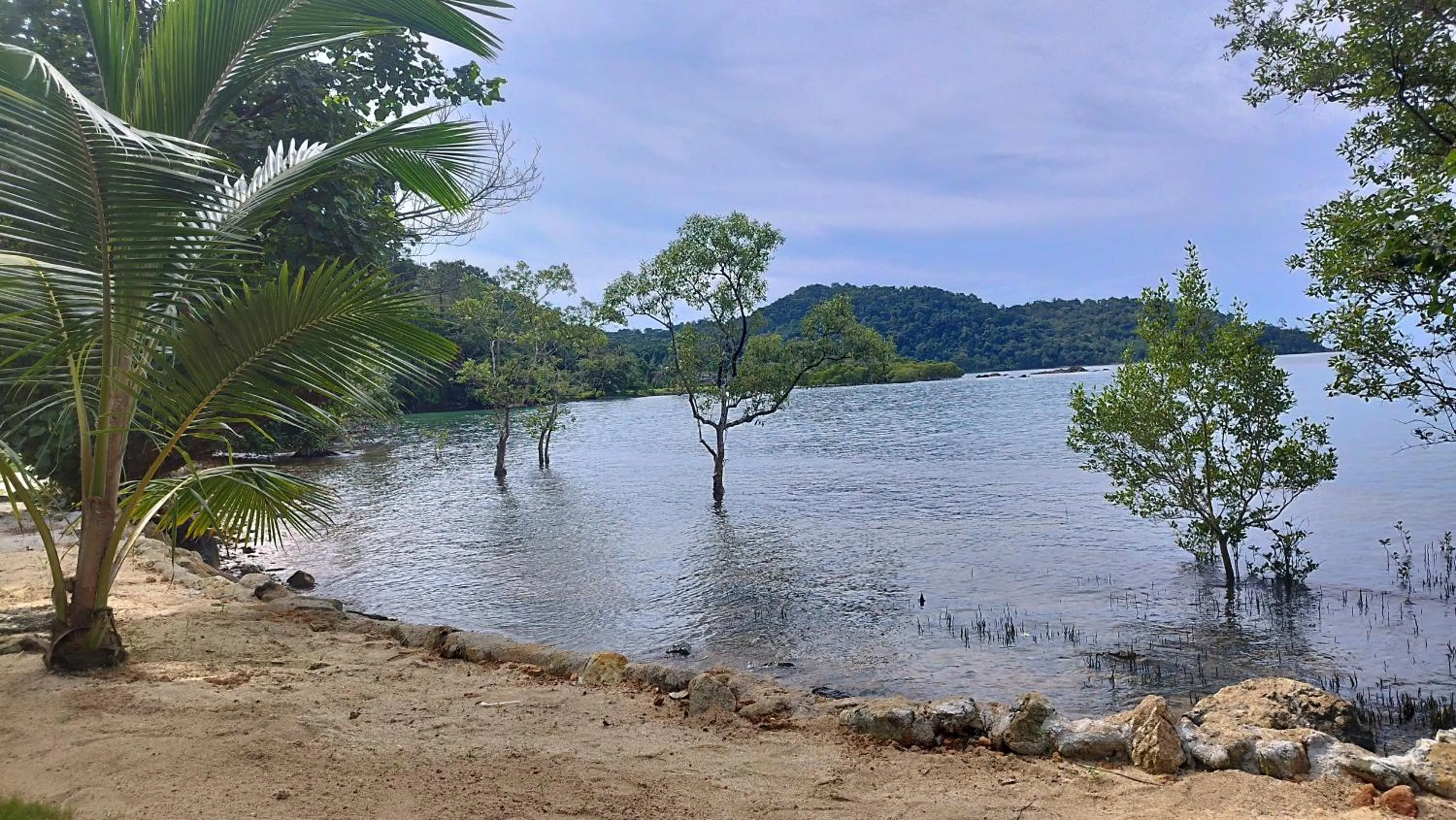 View (from property/room) in Nest Sense Resort