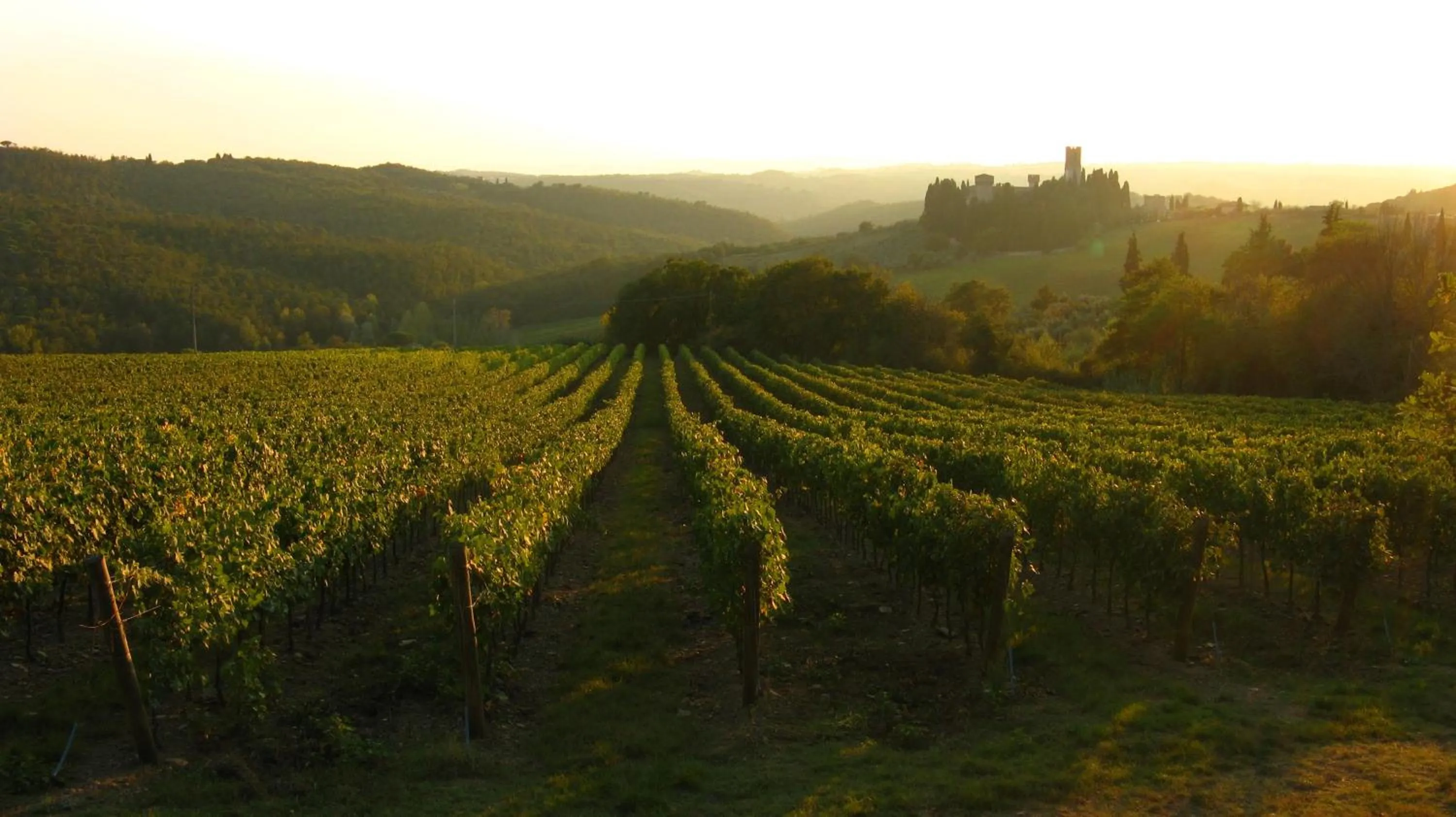 Natural landscape in Villa Il Poggiale Dimora Storica