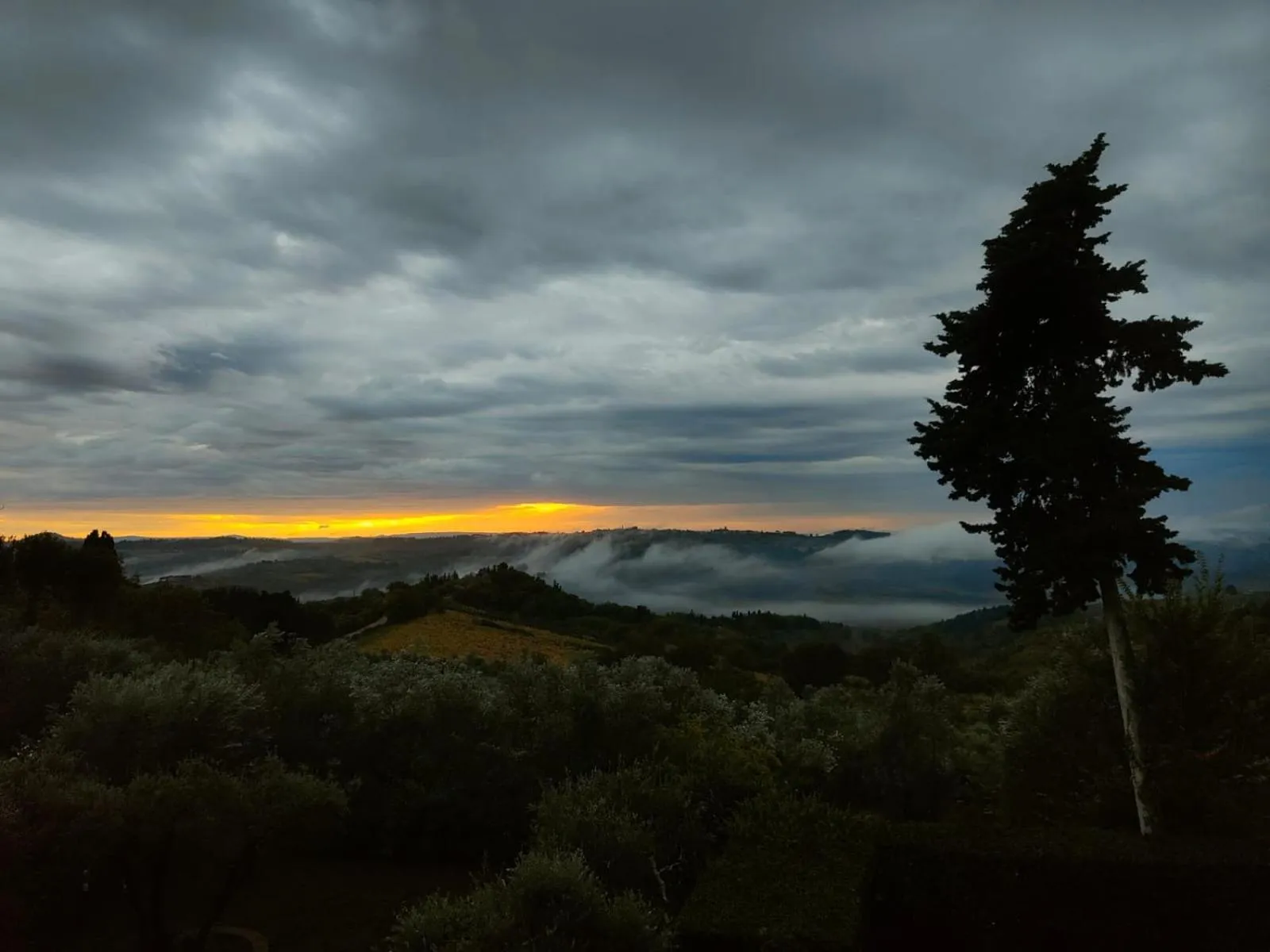 View (from property/room) in Villa Il Poggiale Dimora Storica