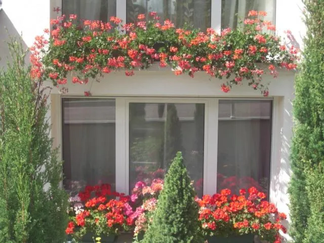 Property building in Suite EUGENIE piscine MAISON BLANCHE TULLE