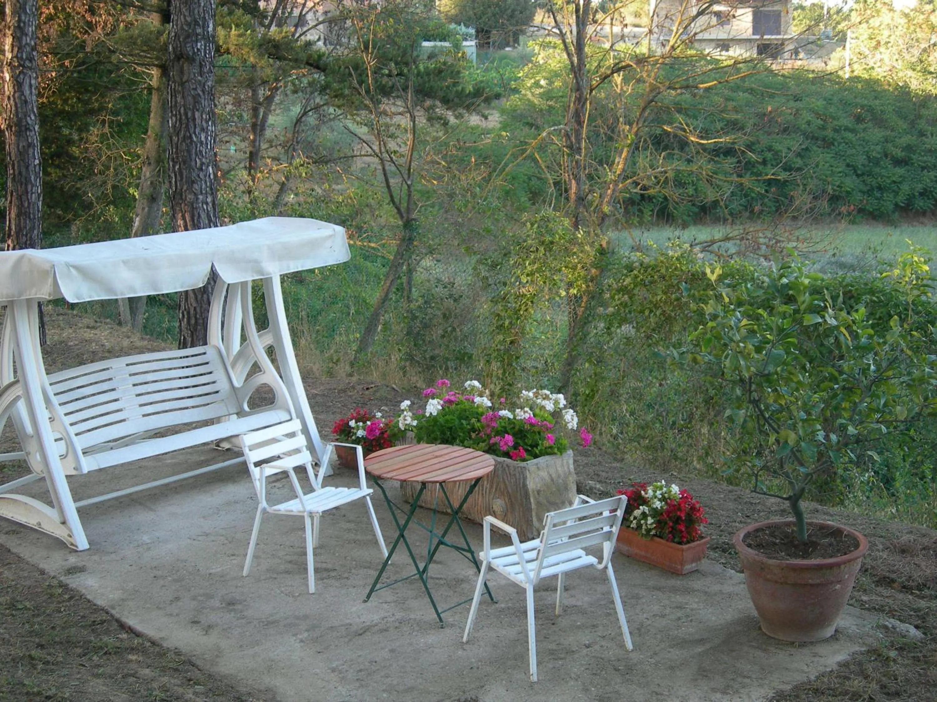 Garden in Hotel Primavera