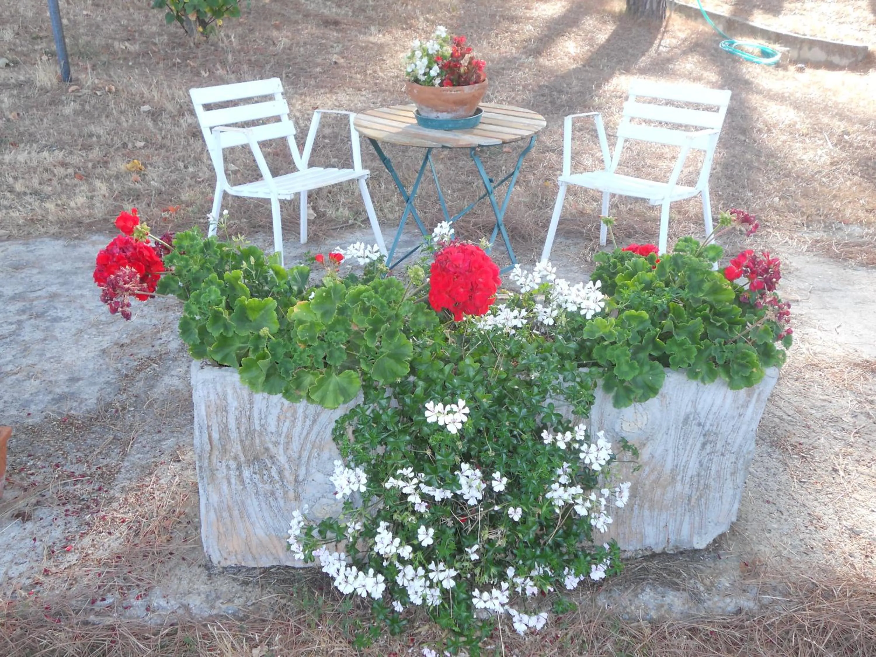 Garden view in Hotel Primavera