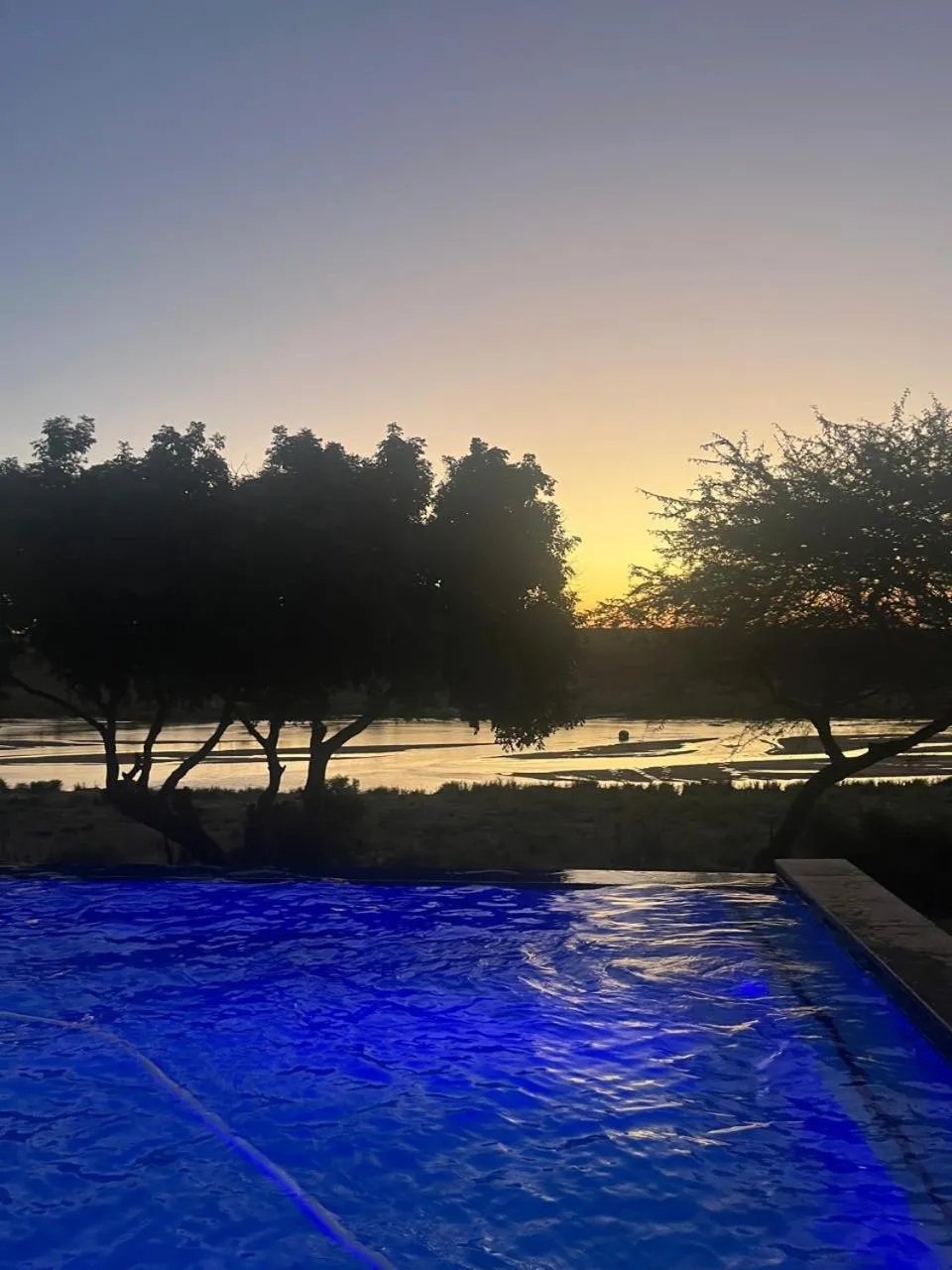 Pool view in Crocodile Bridge Safari Lodge