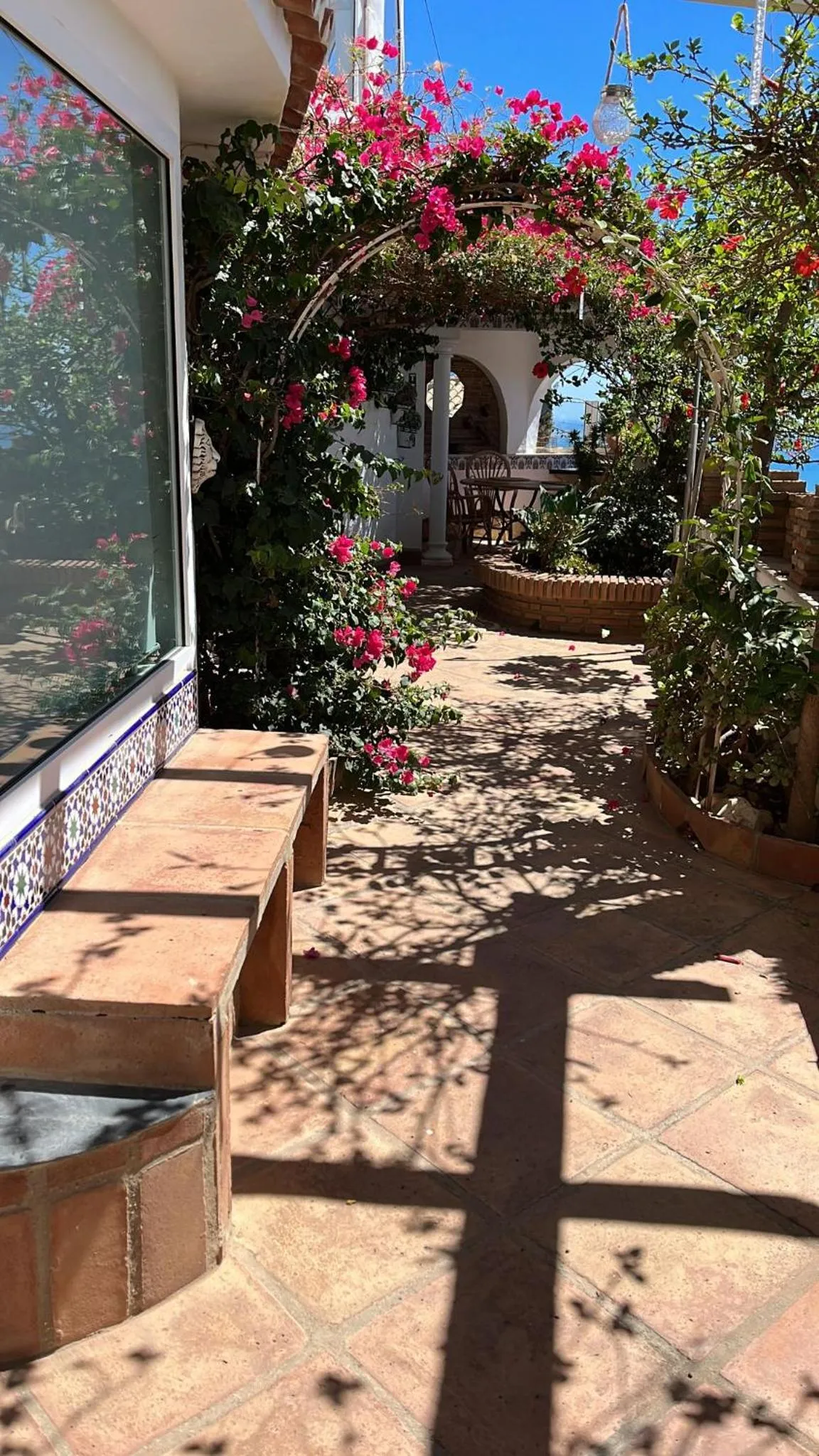 Garden in Casa Hermosa