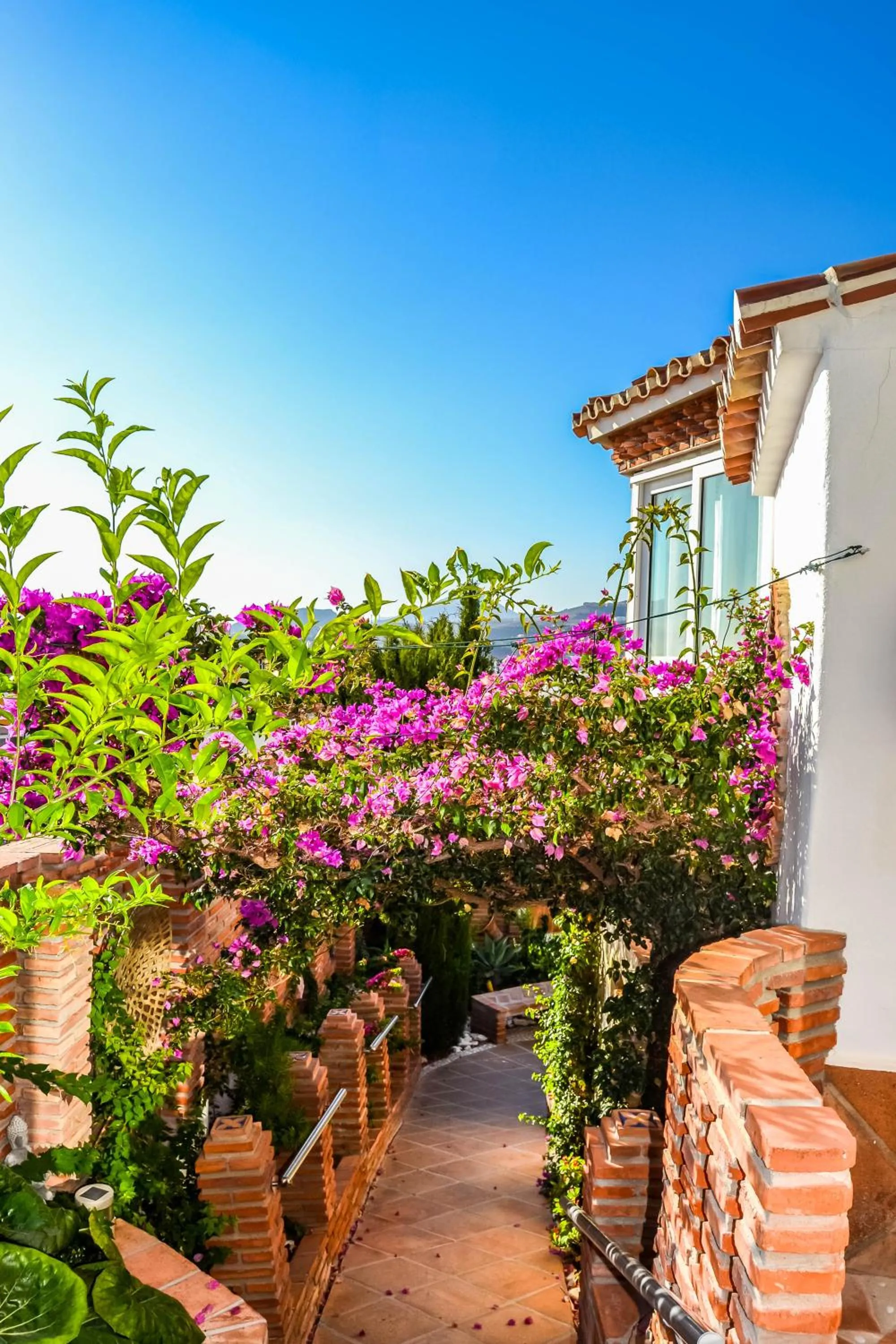 Patio in Casa Hermosa