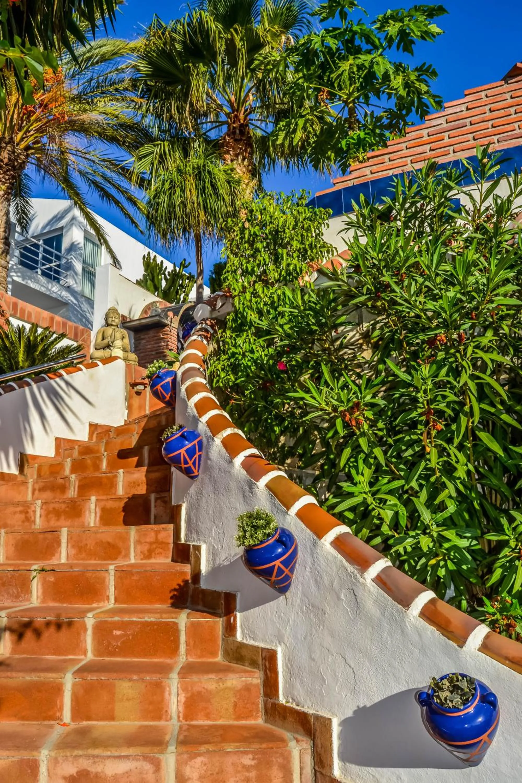 Garden view in Casa Hermosa