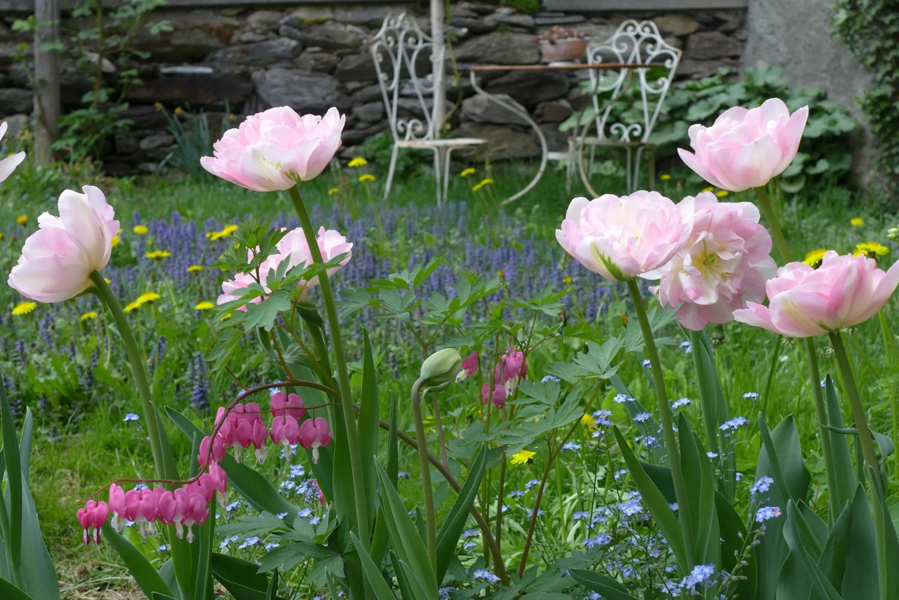 Patio in B&B La Scala
