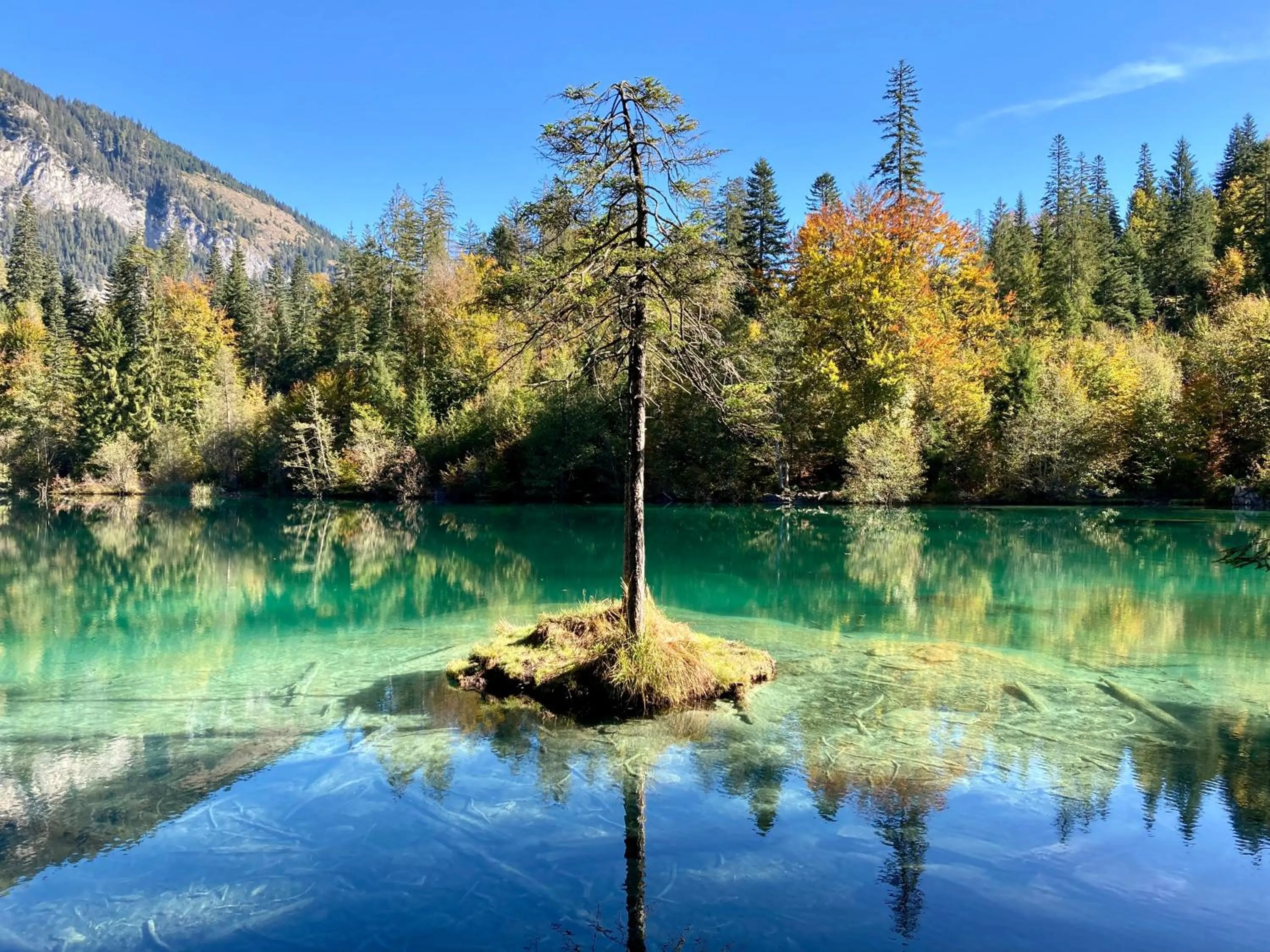 Natural landscape in B&B La Scala