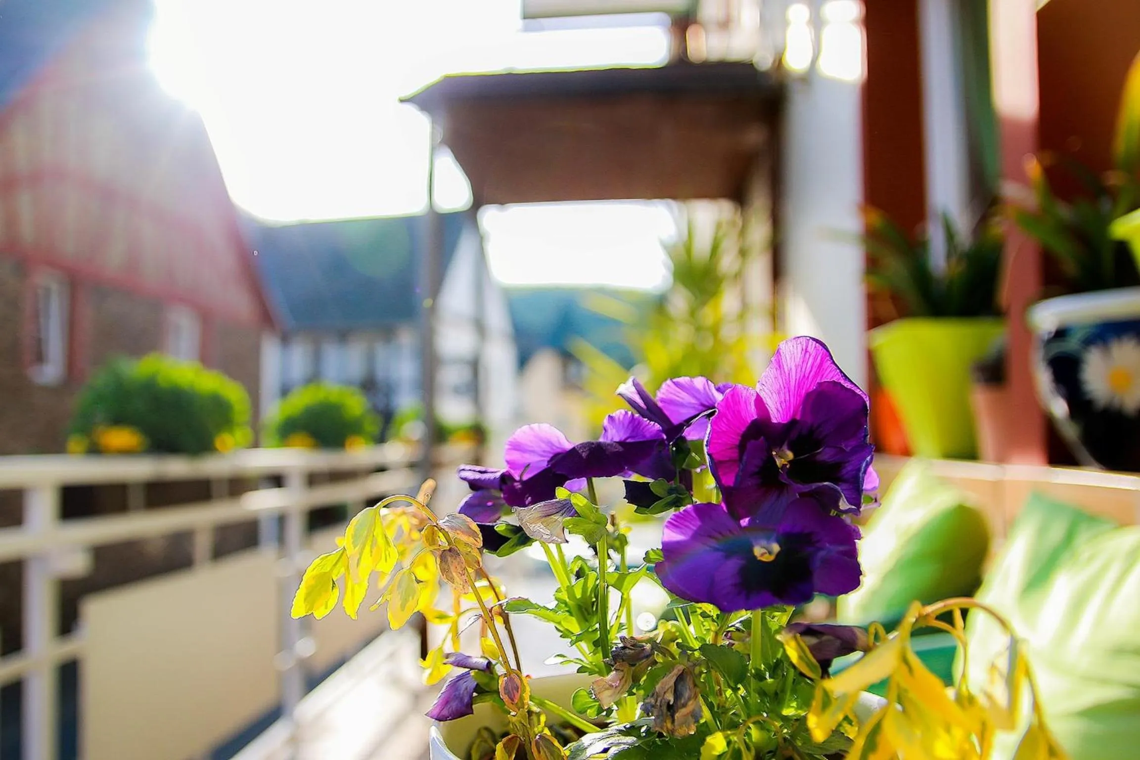 Spring in Gasthaus Tannenhof
