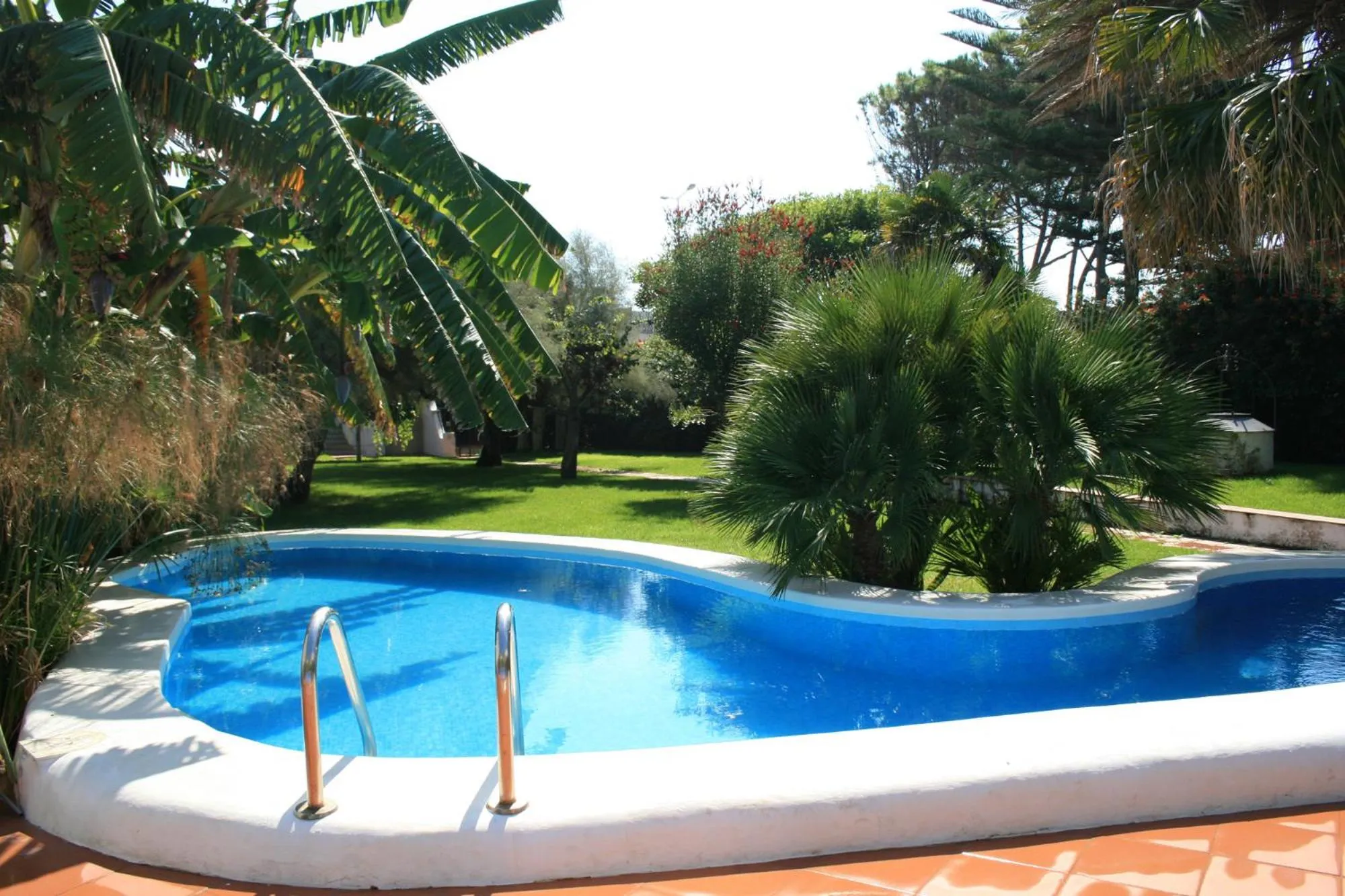 Garden in Hotel Villa Mediterranea