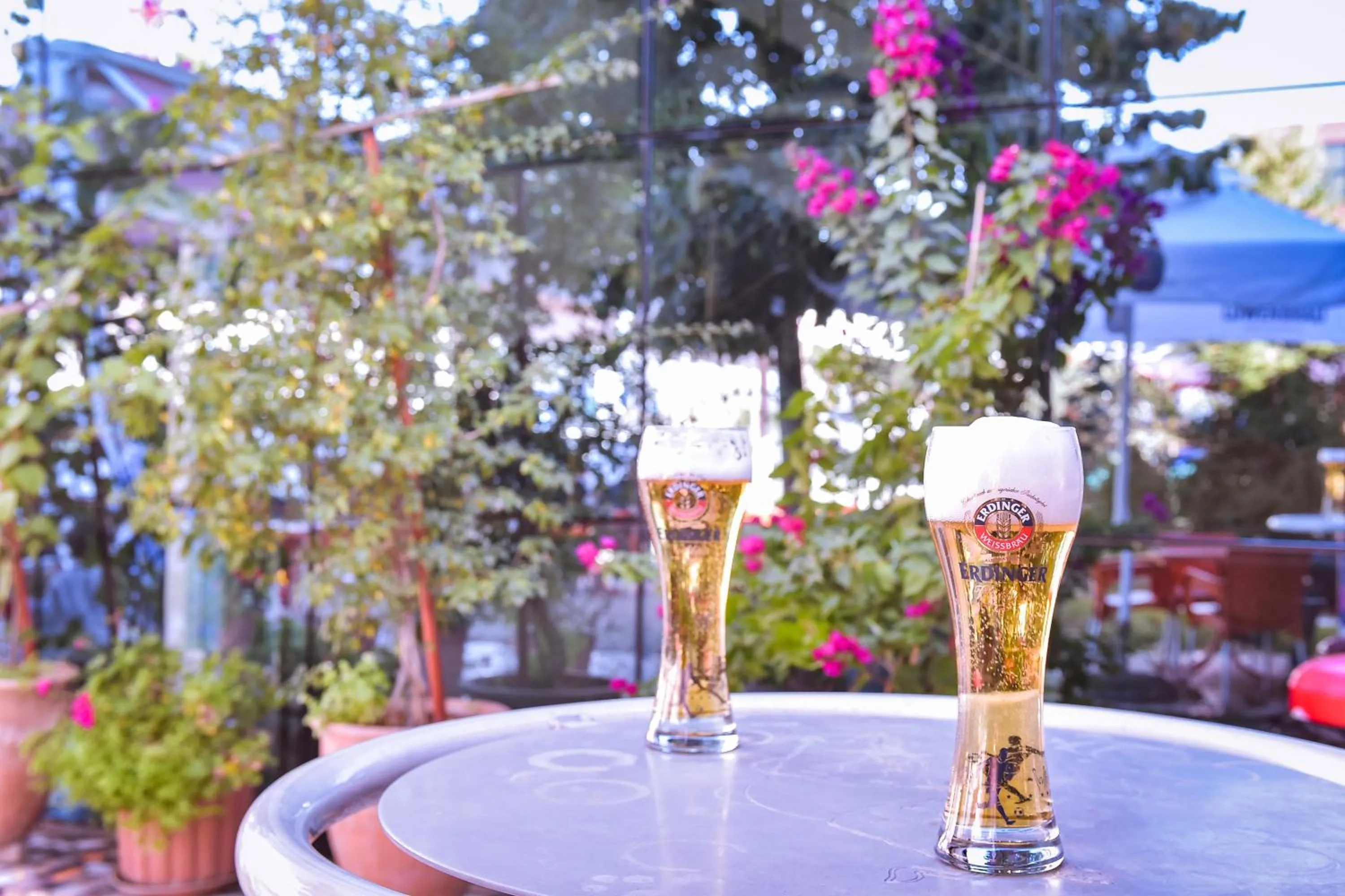 Lounge or bar in Hotel Jurgen