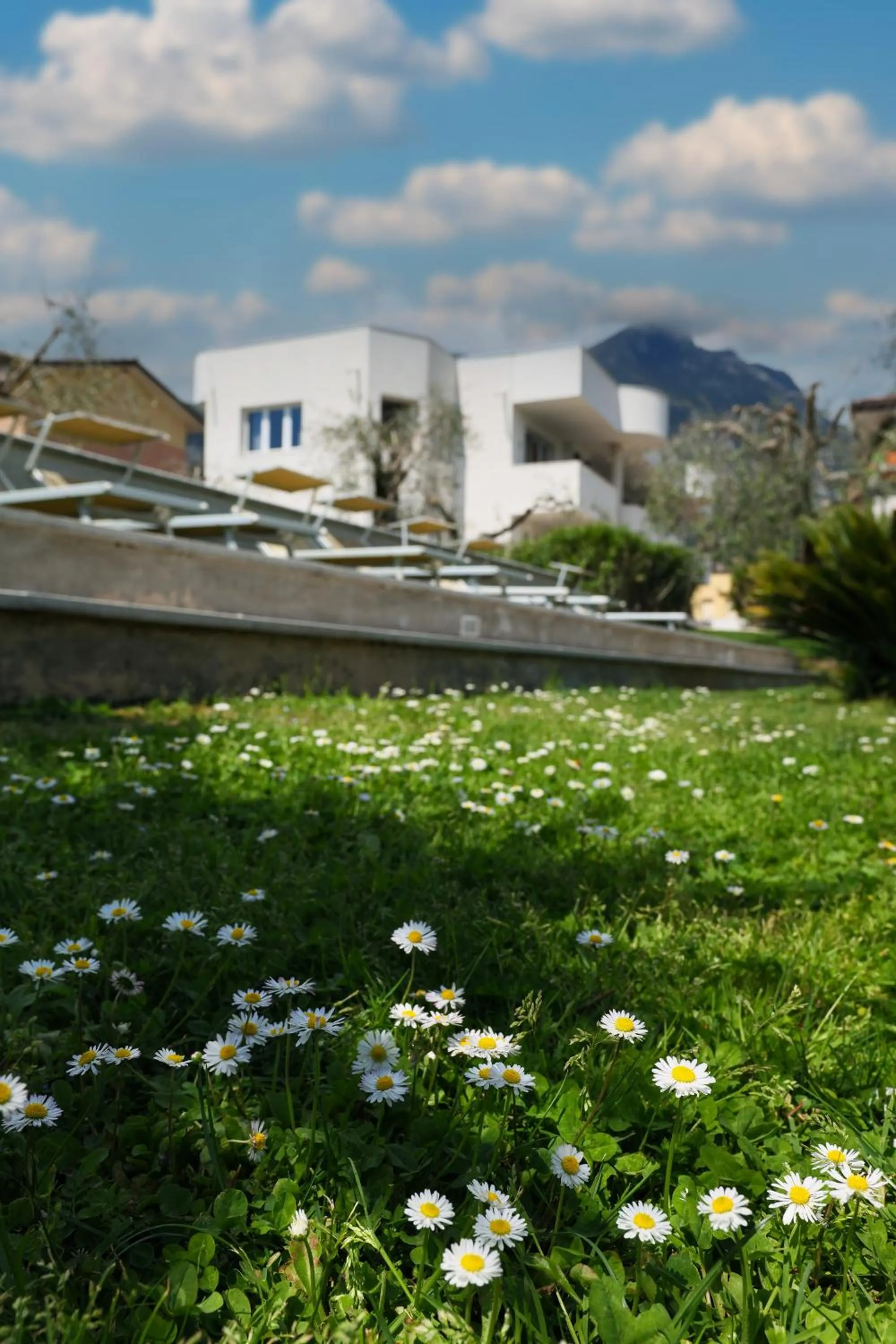 Property building in Borgo degli Ulivi Residence di Olympic Garda Lake