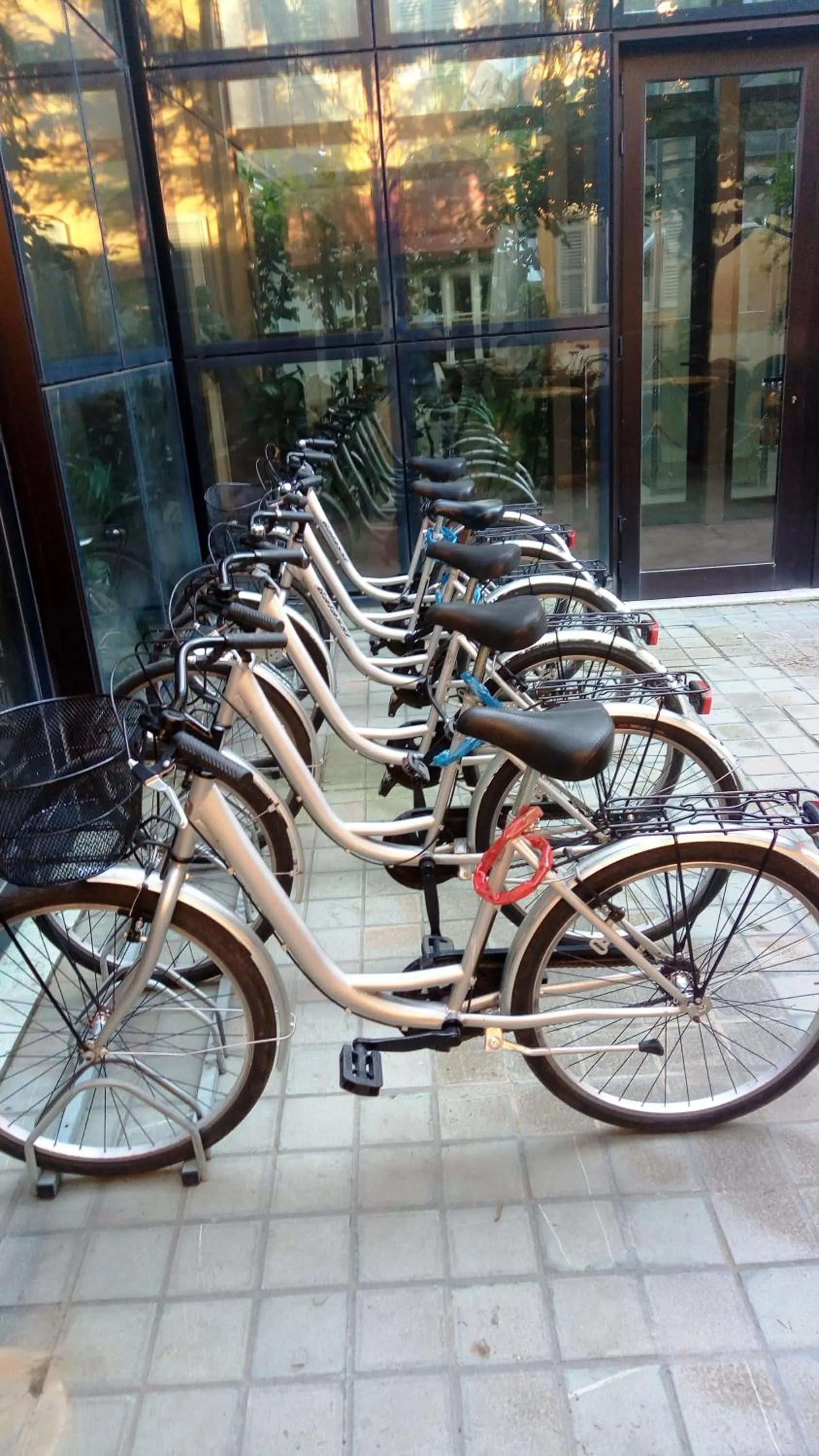 Cycling in Palazzo Galletti Abbiosi