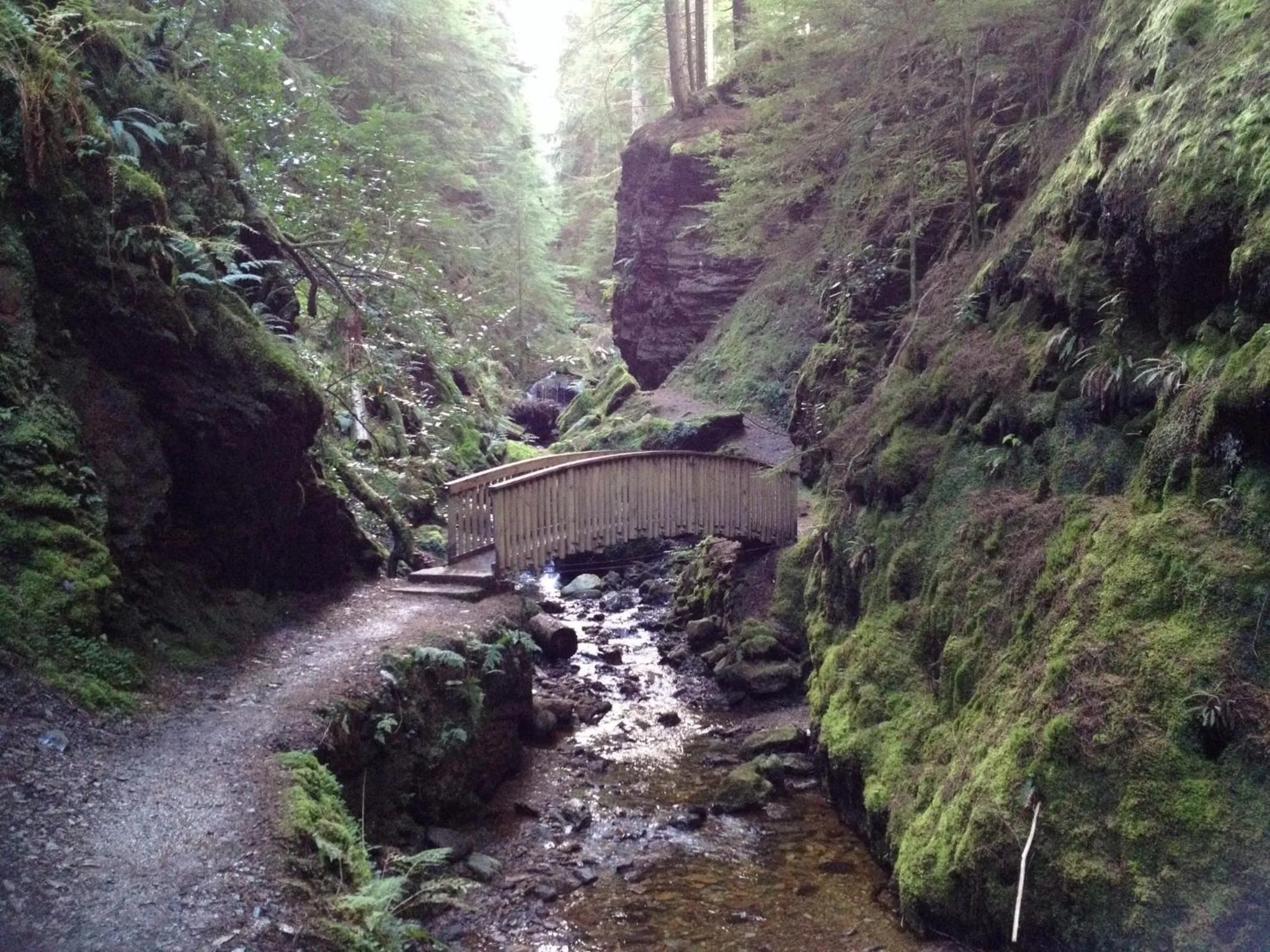 Other in Pucks Glen Lodges, Rashfield, by Dunoon