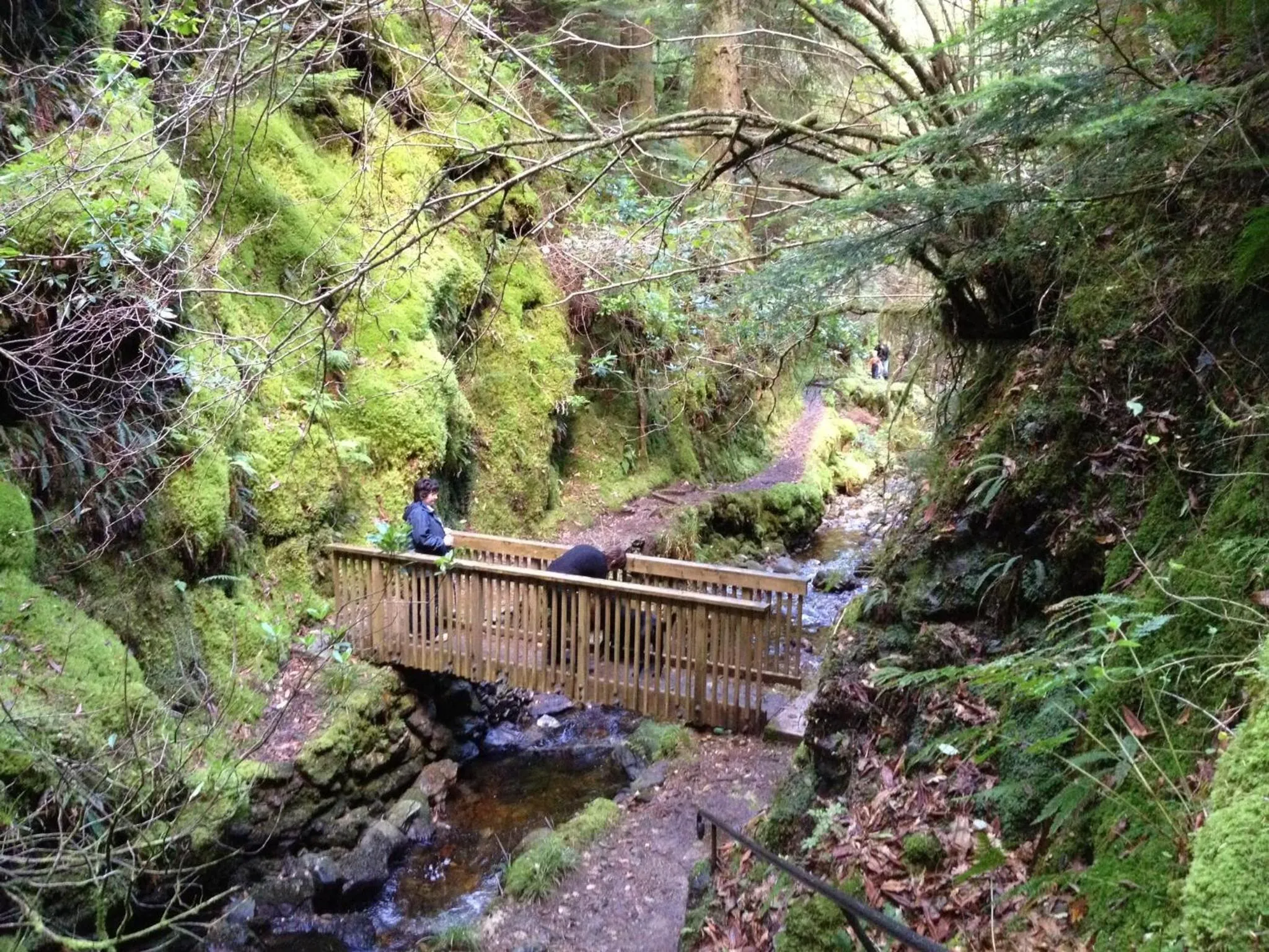 Other in Pucks Glen Lodges, Rashfield, by Dunoon