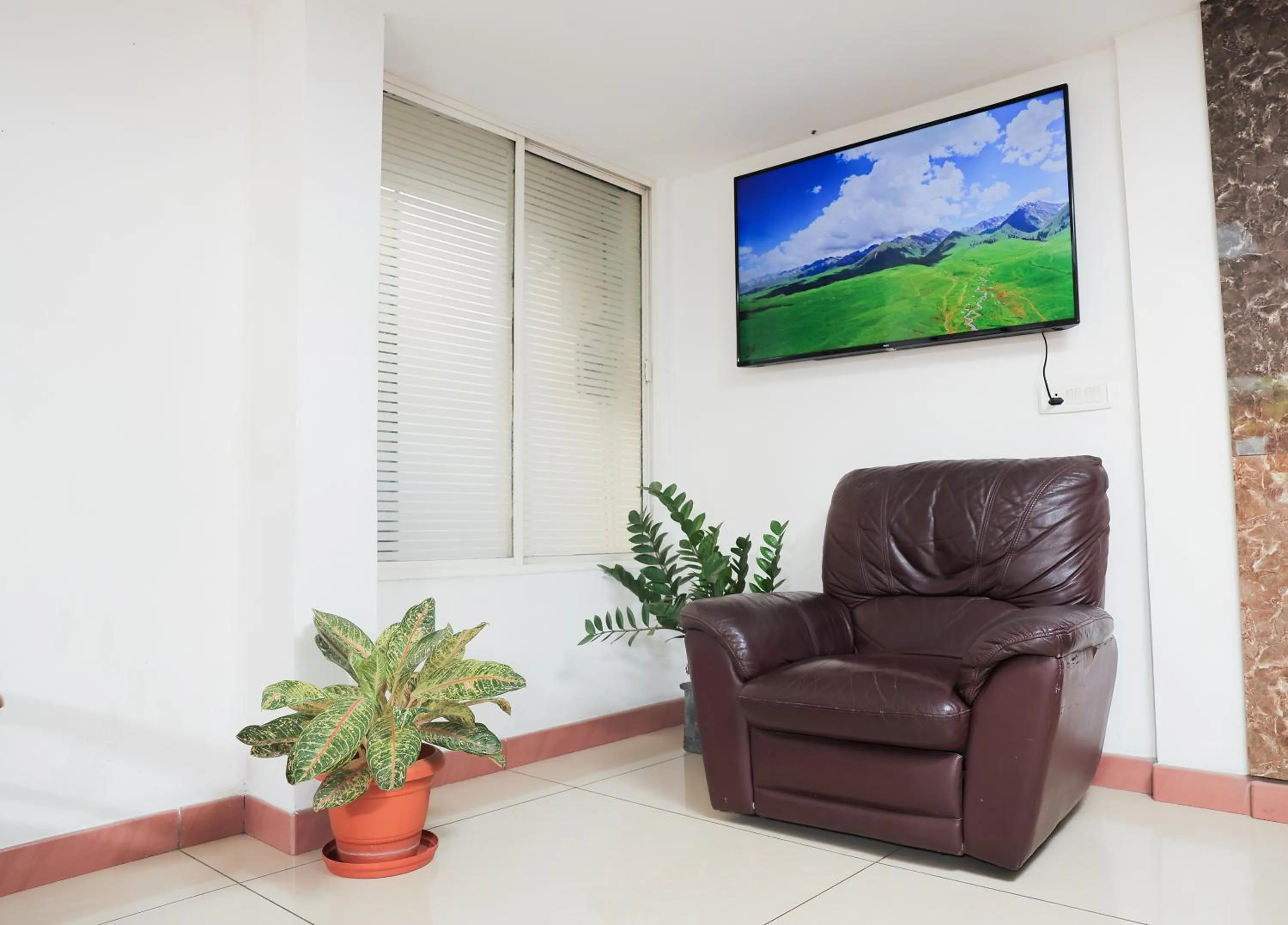 TV and multimedia in A V Residency