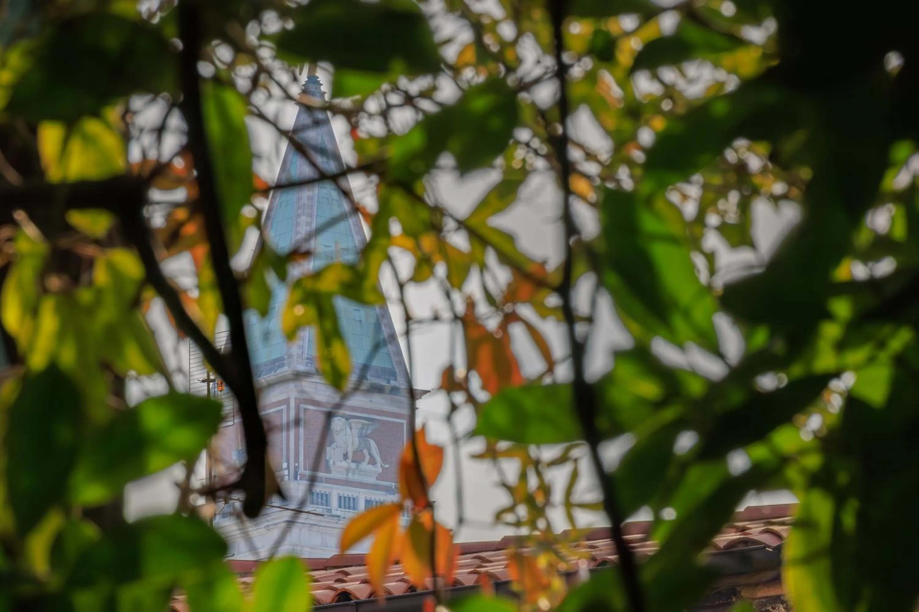 View (from property/room) in Cà dell'arte Suite