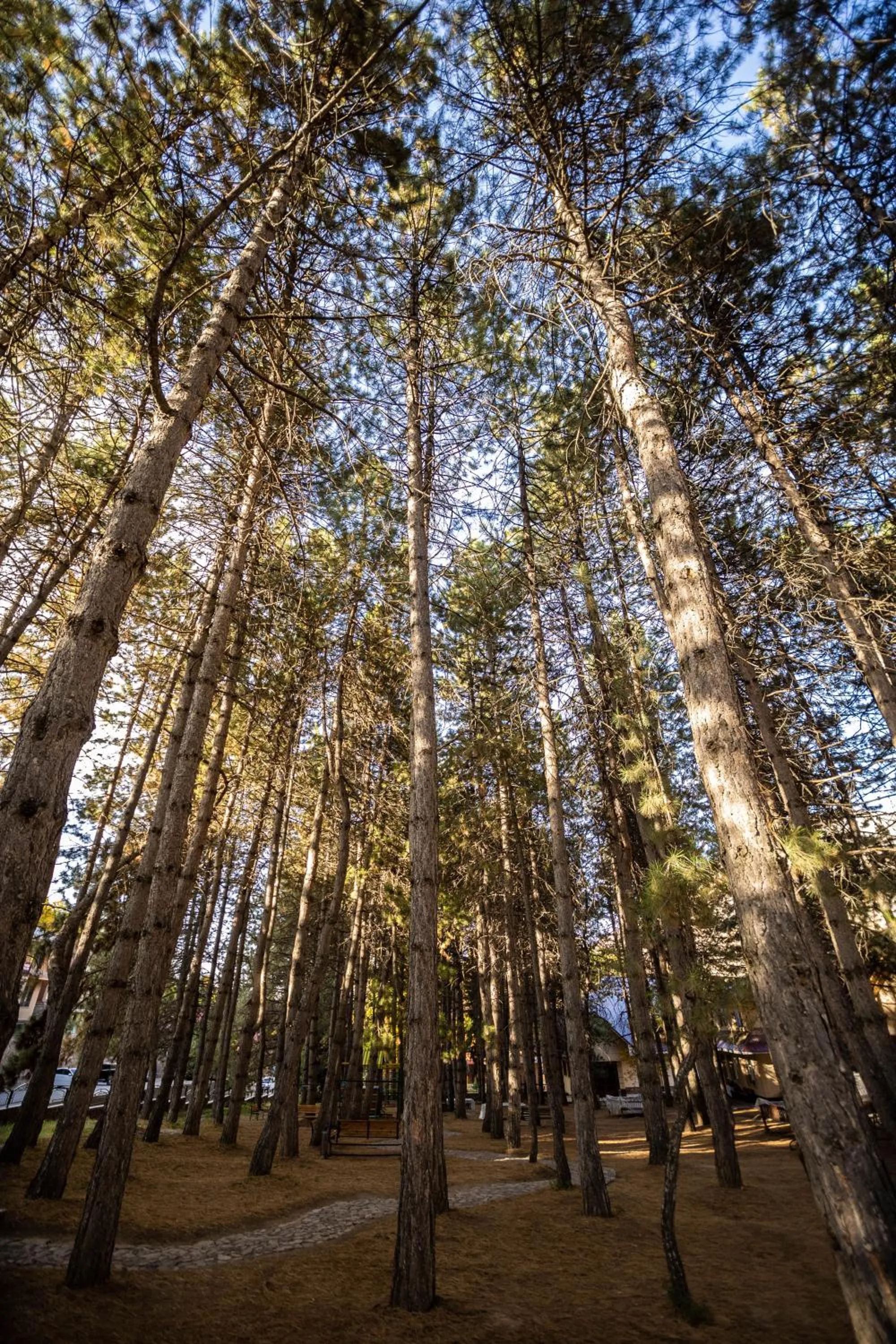 Nearby landmark in ARCHAZOR Mountain Resort