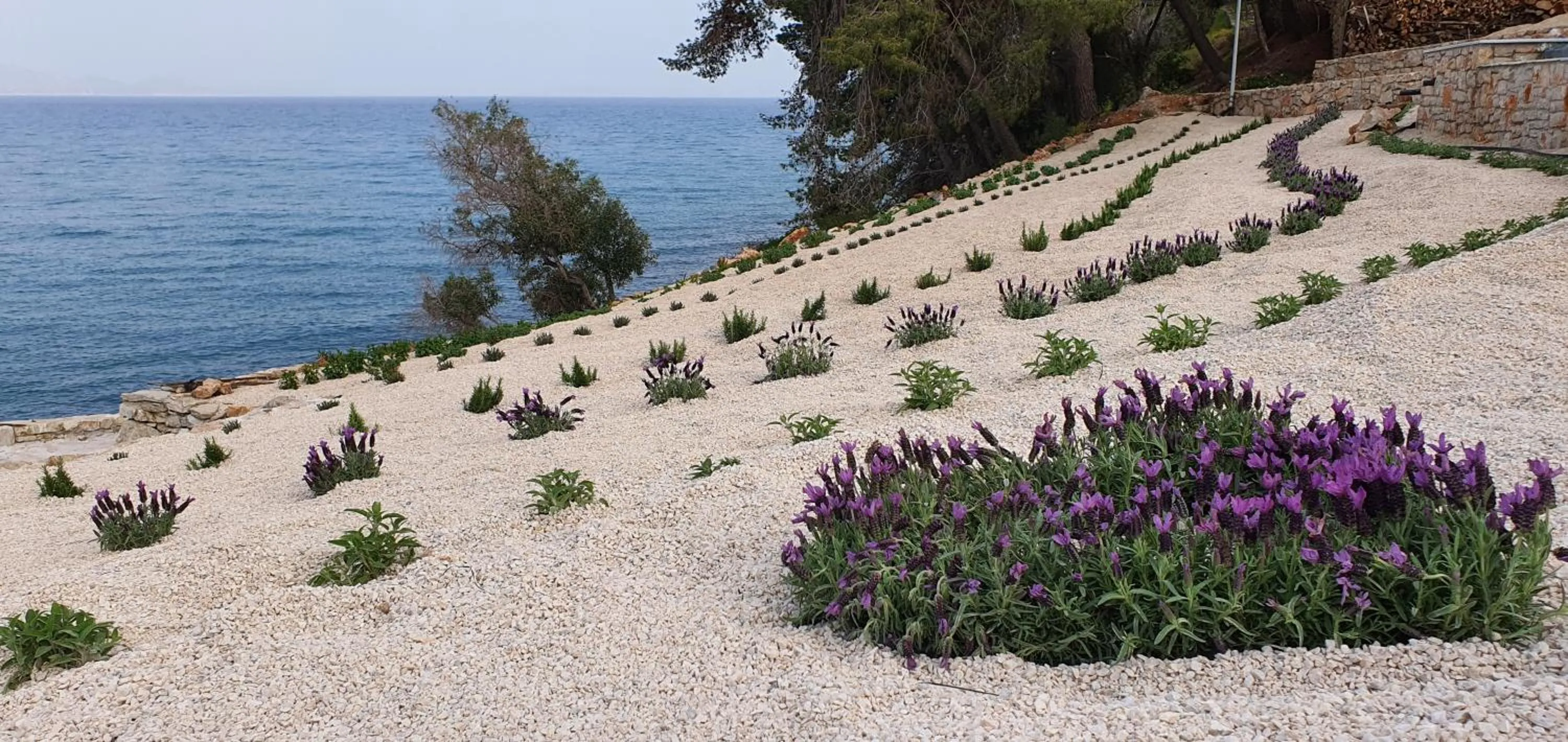 Natural landscape in Anavalos