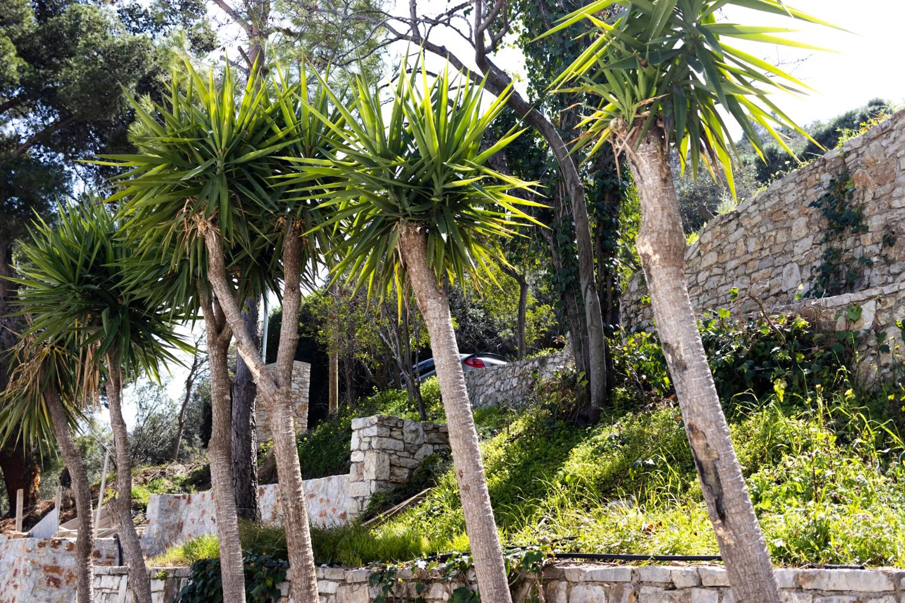 Natural landscape in Anavalos