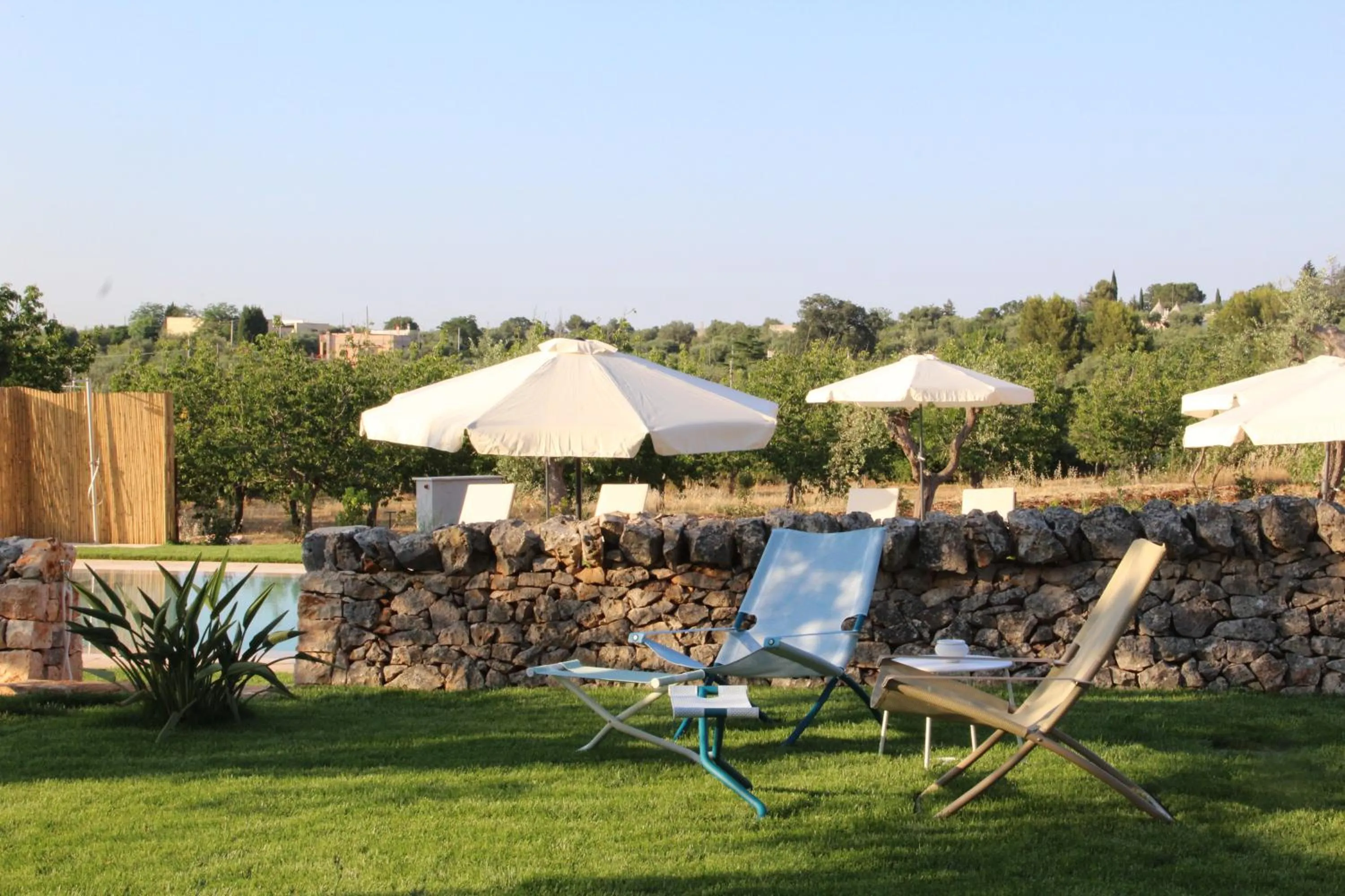Garden in Villa Sardella