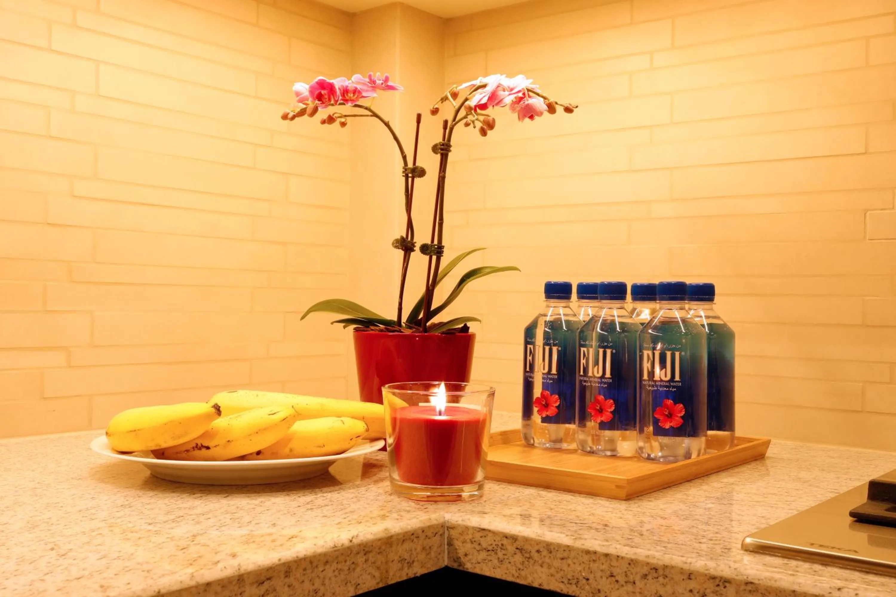 Drinks in Elegant Apartment with Direct access to Dubai Mall