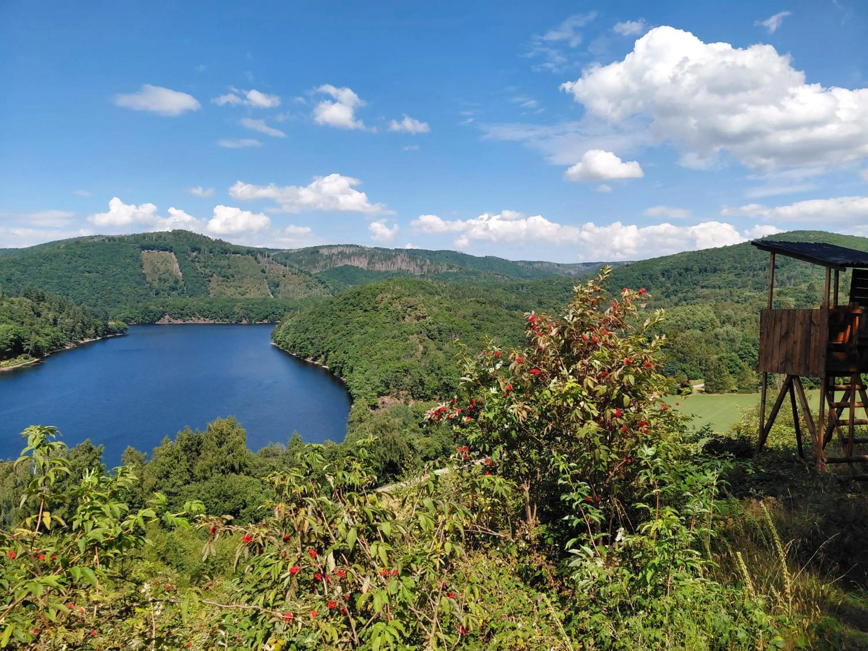 Hiking in DER Hirsch Hotel