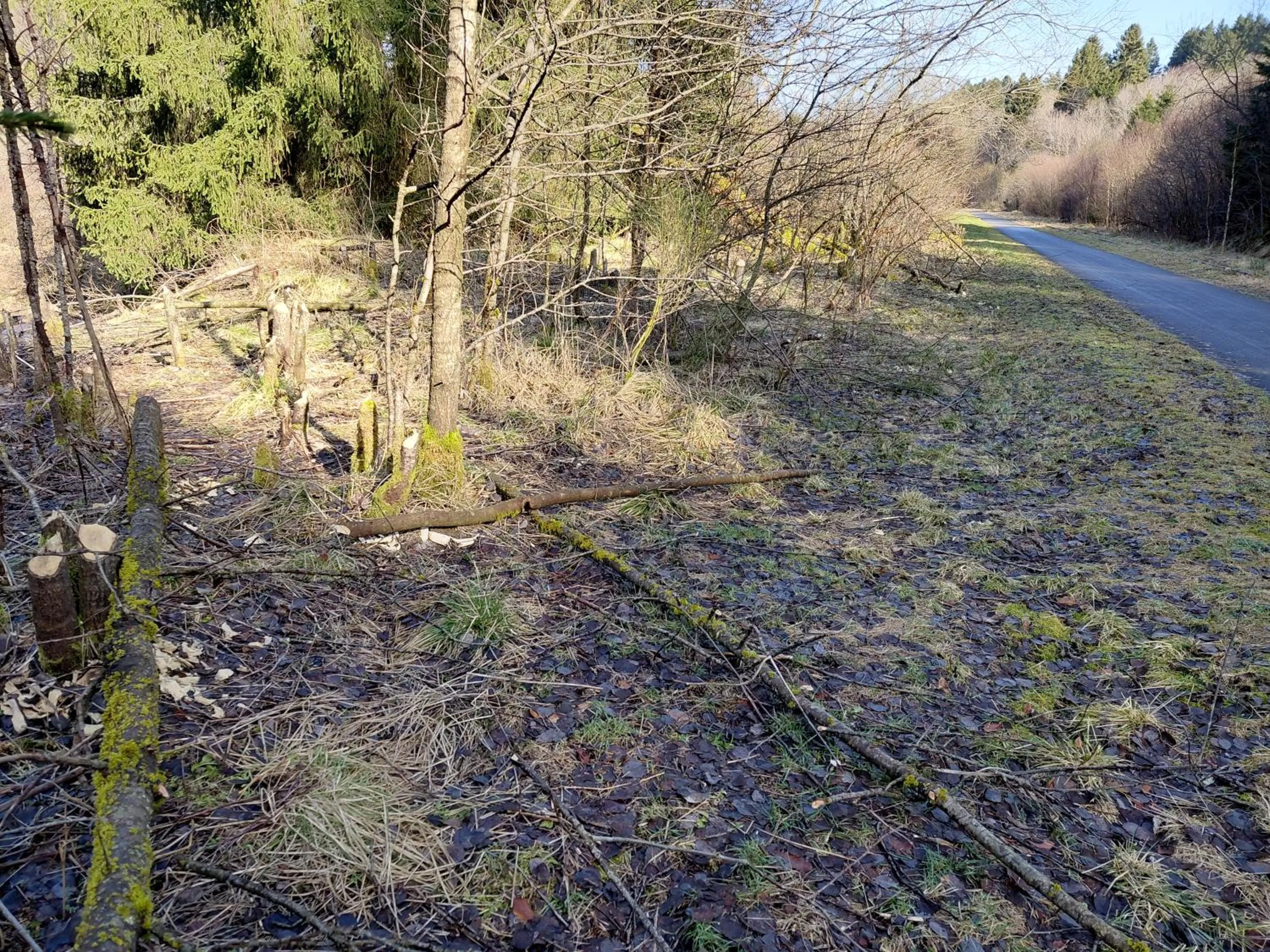 Natural landscape in DER Hirsch Hotel
