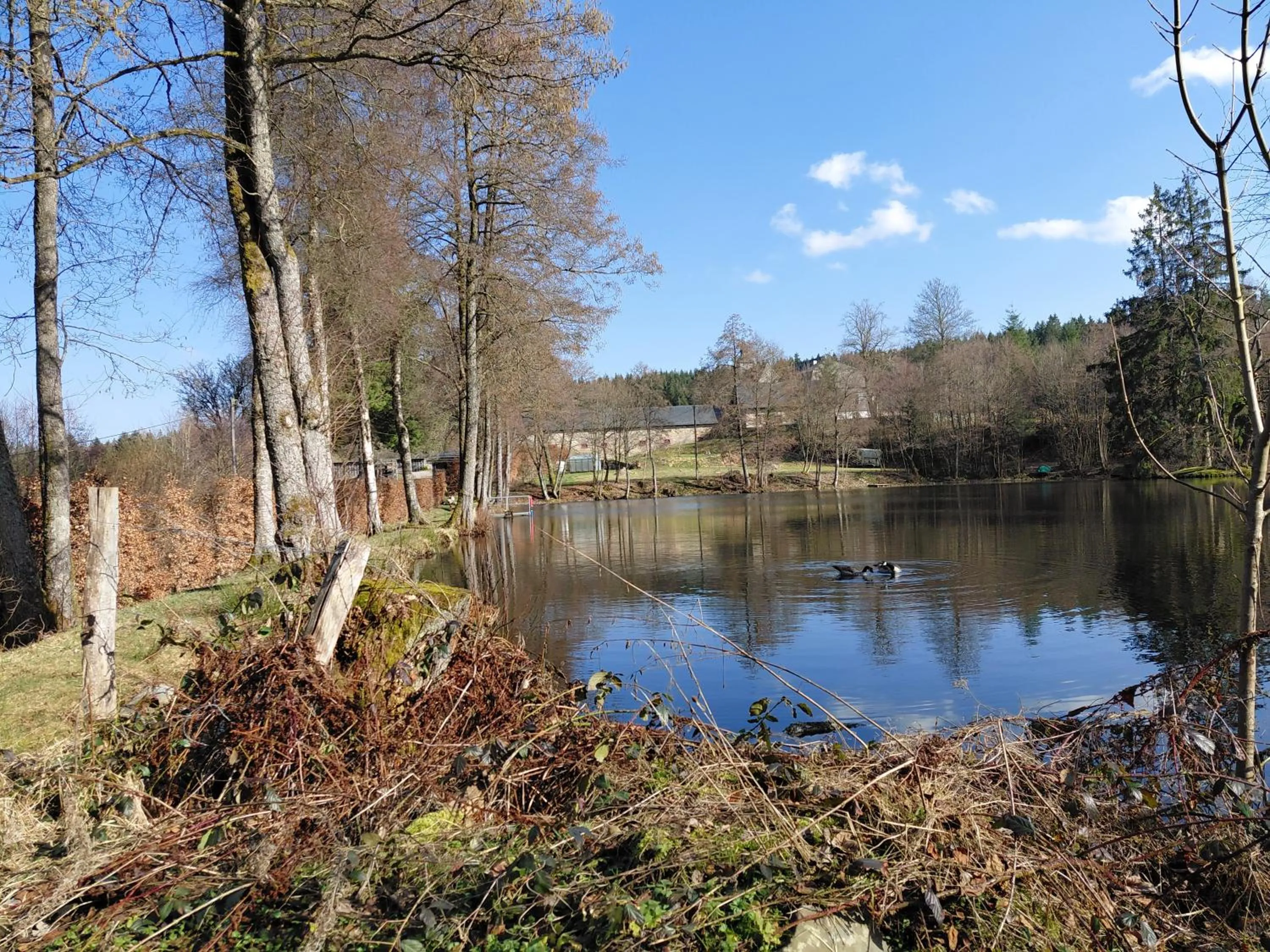 Natural landscape in DER Hirsch Hotel