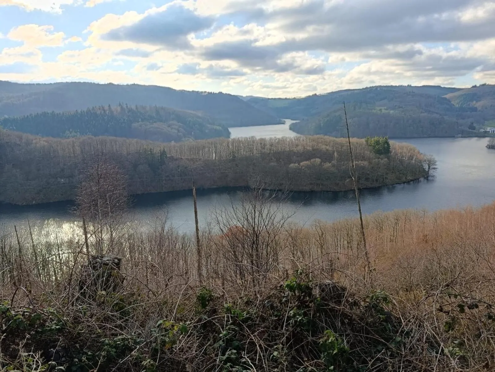 Natural landscape in DER Hirsch Hotel