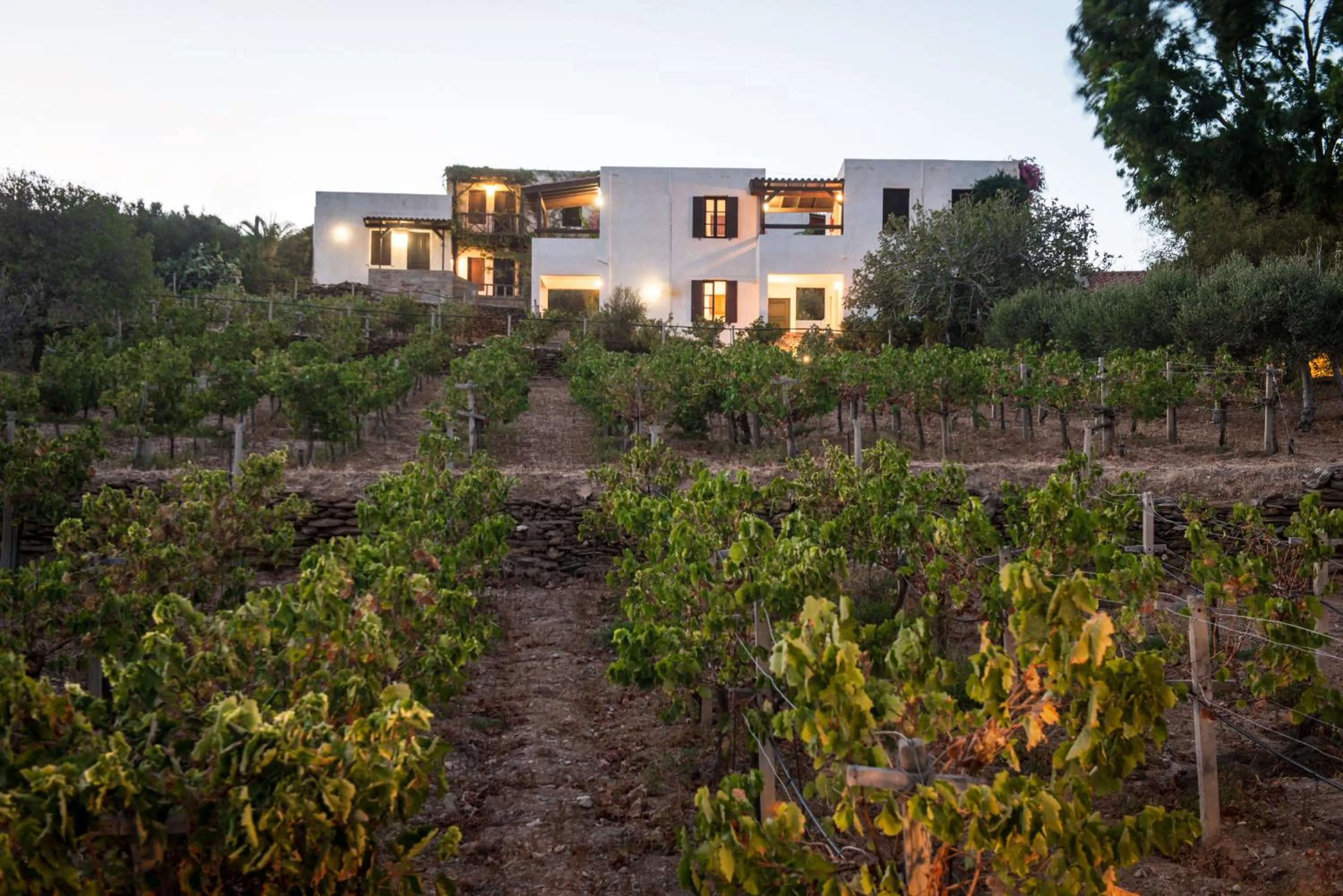 Facade/entrance in Ambelos