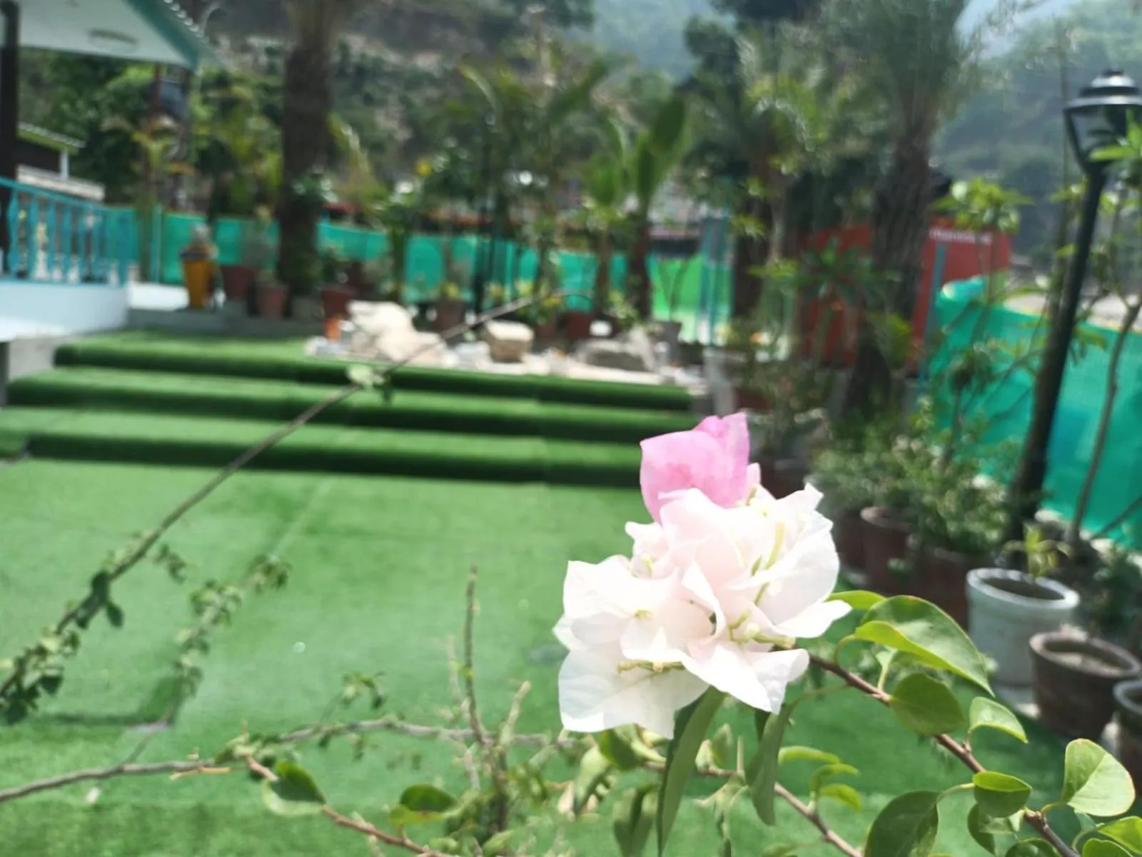 Garden in MR River Resort - Mohanchatti Rishikesh