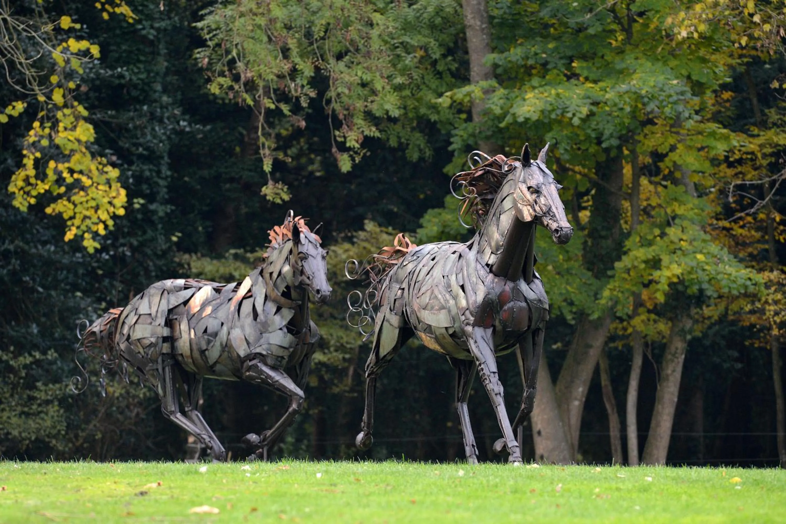 Garden in L'EssenCiel