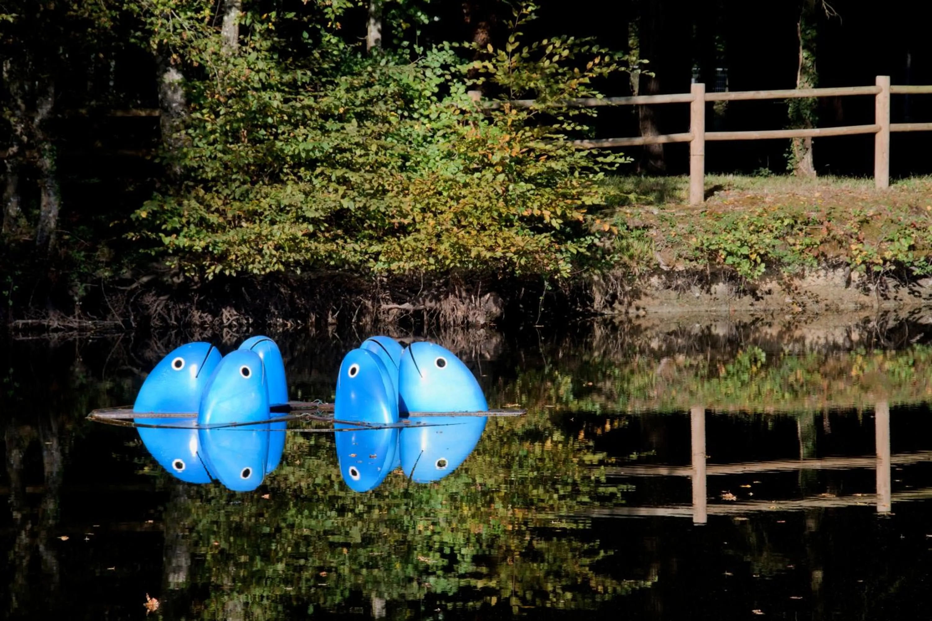 Natural landscape in L'EssenCiel