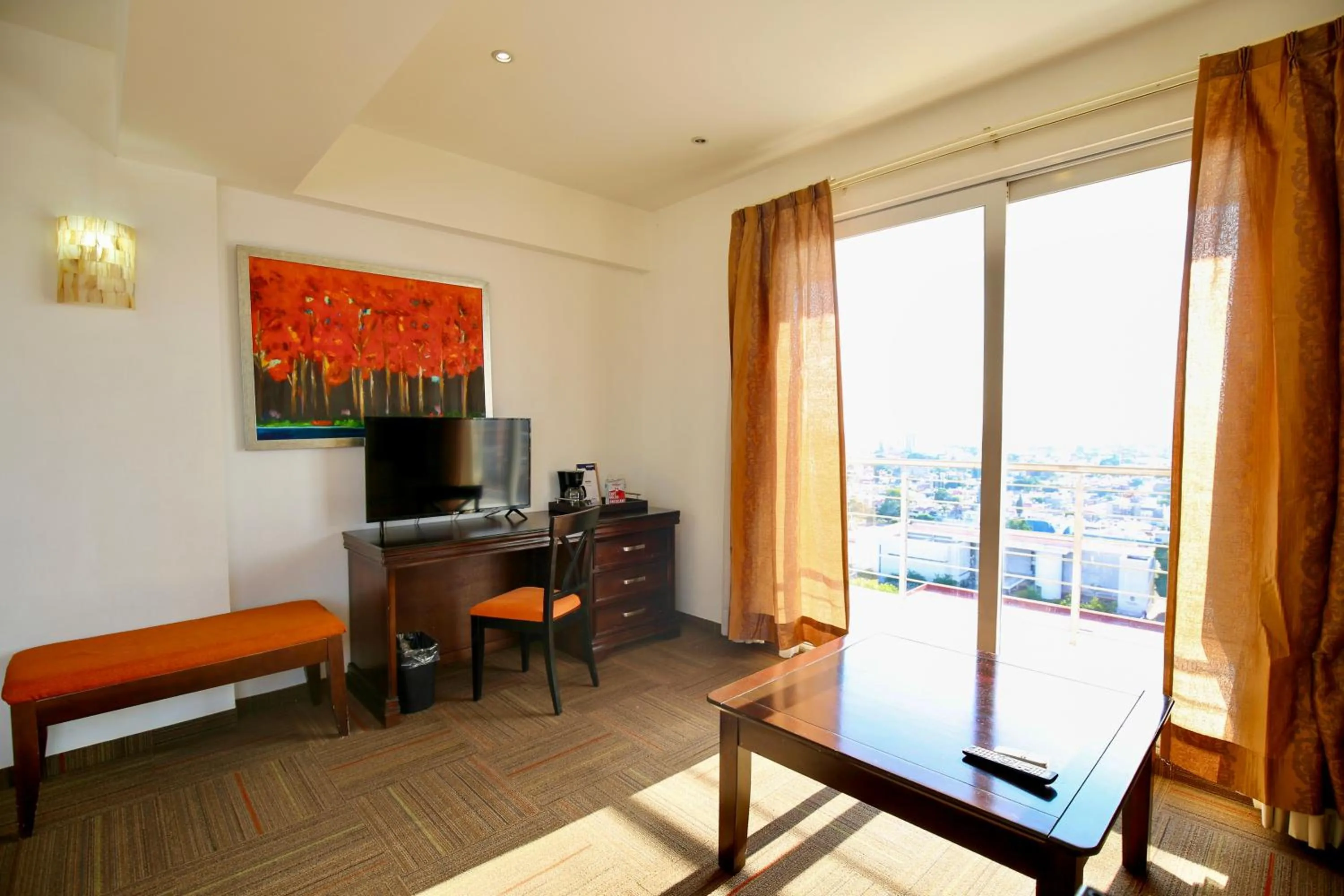 View (from property/room) in Hotel Stadium Leon