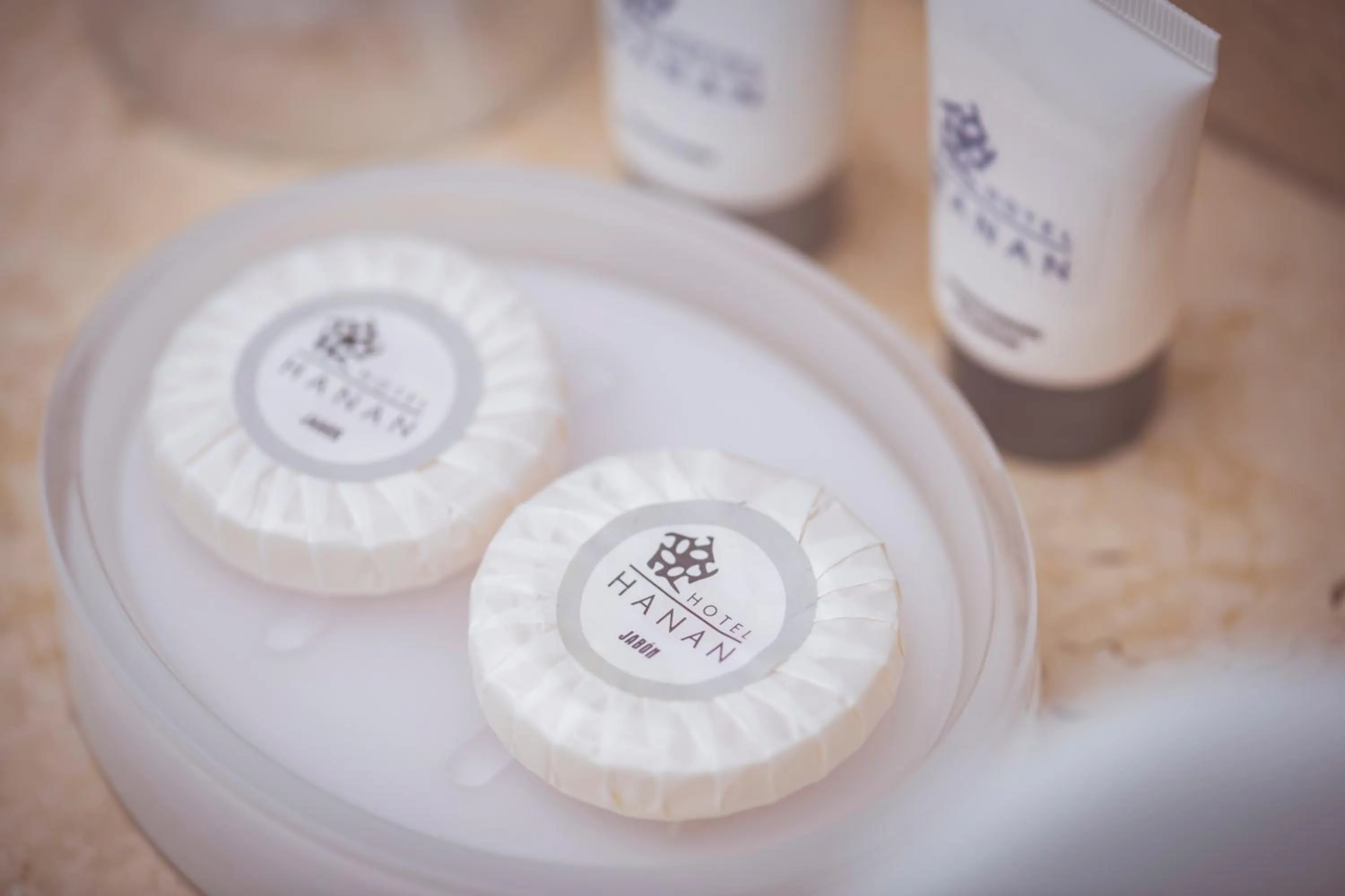 Decorative detail in HOTEL HANAN