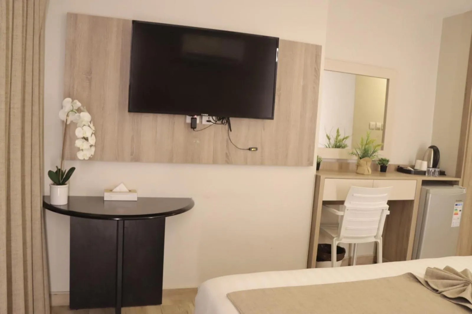 TV and multimedia in ALENA HOTEL