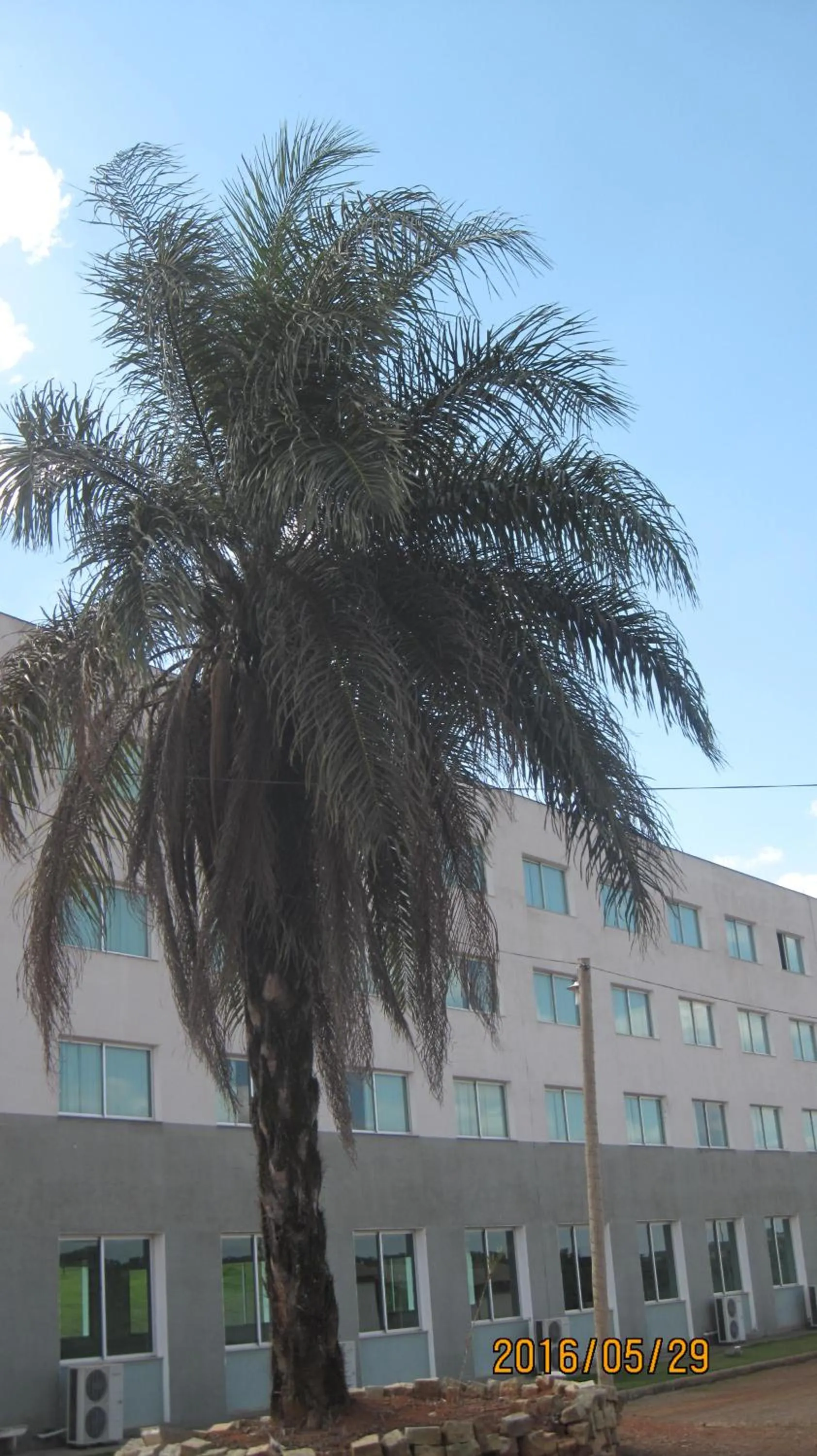 Hotel Mirante São Brás