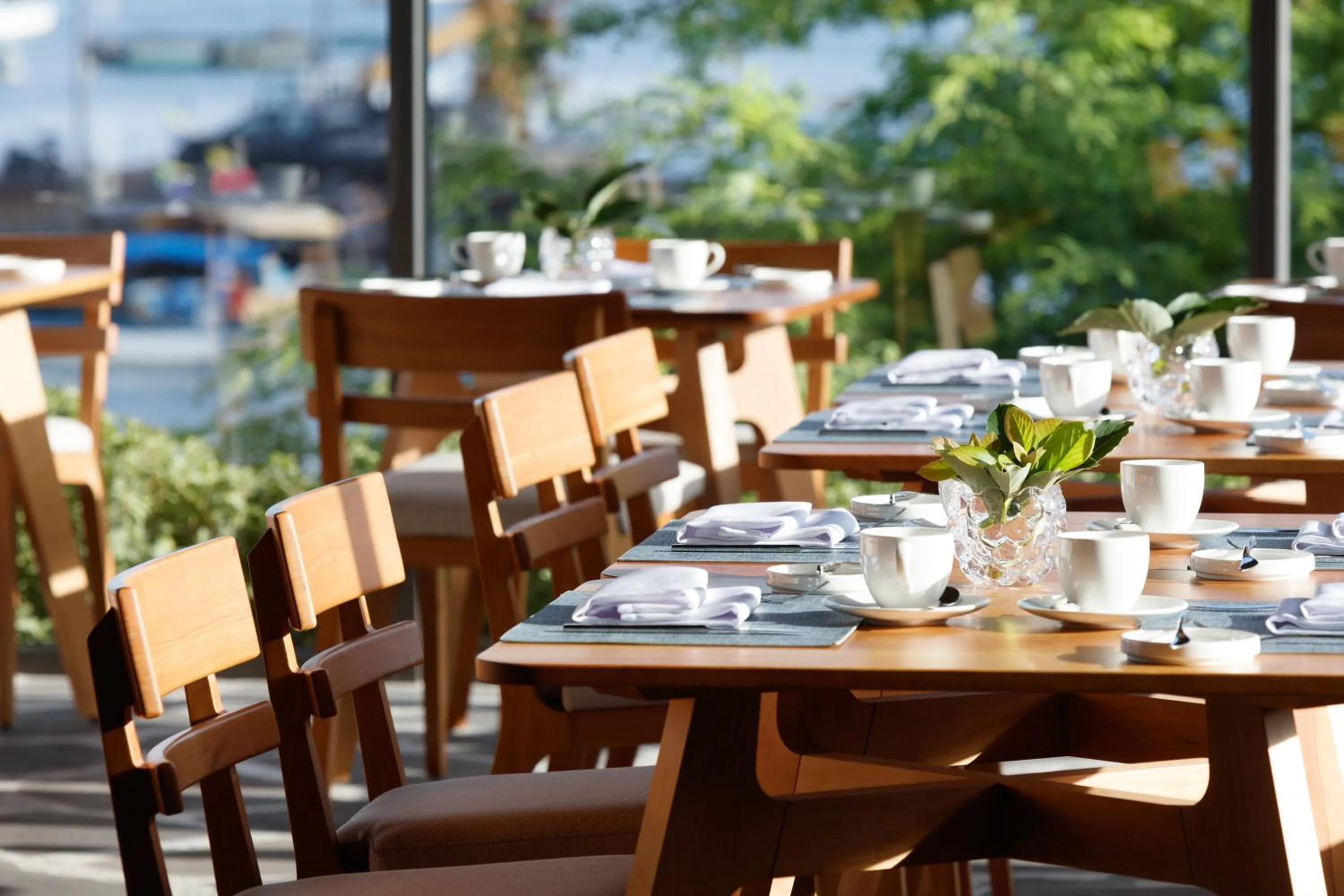 Restaurant/places to eat in Hotel Indigo - Galapagos by IHG